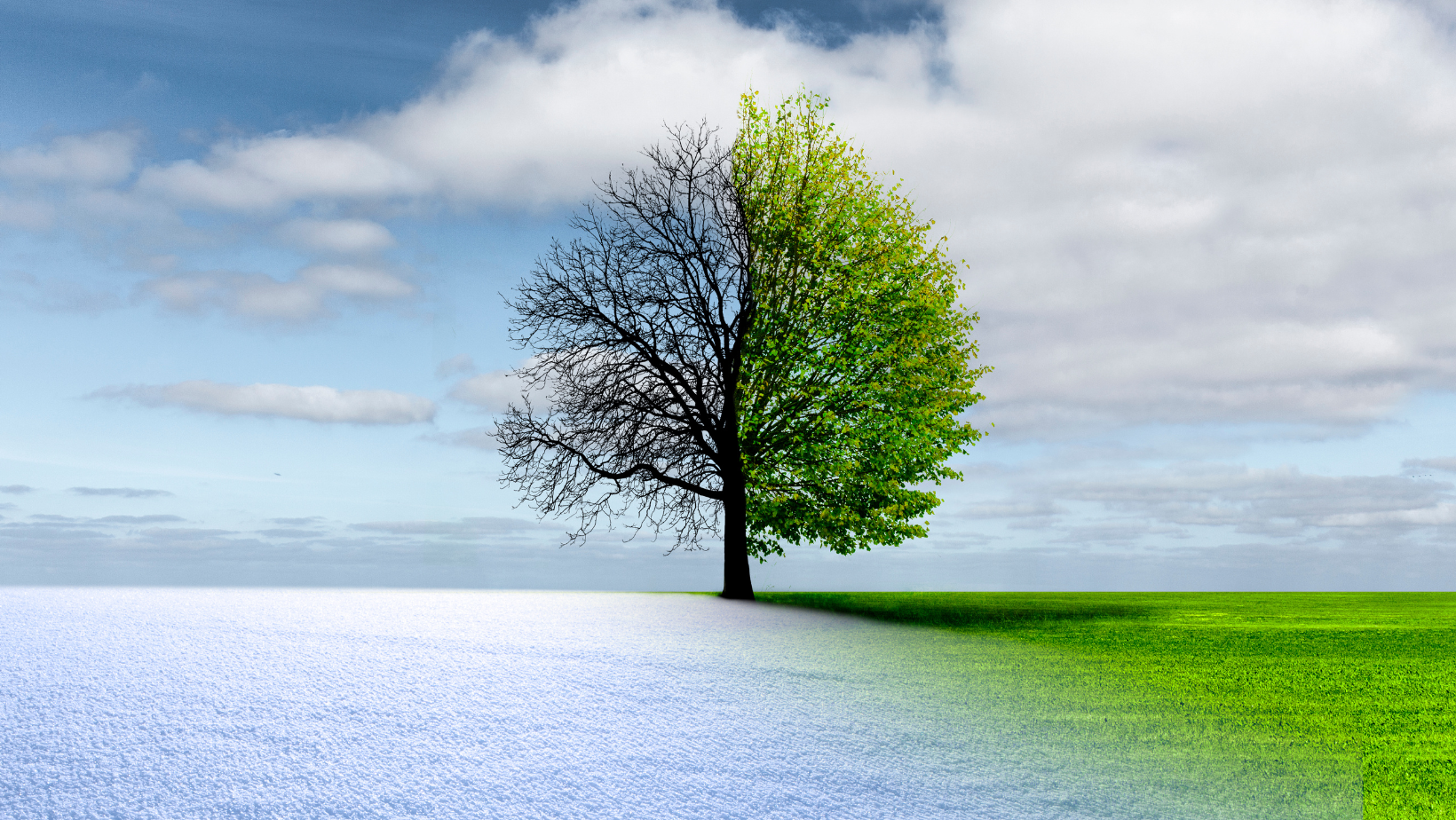 Navigating Change in Nonprofits: A Data-Driven Approach