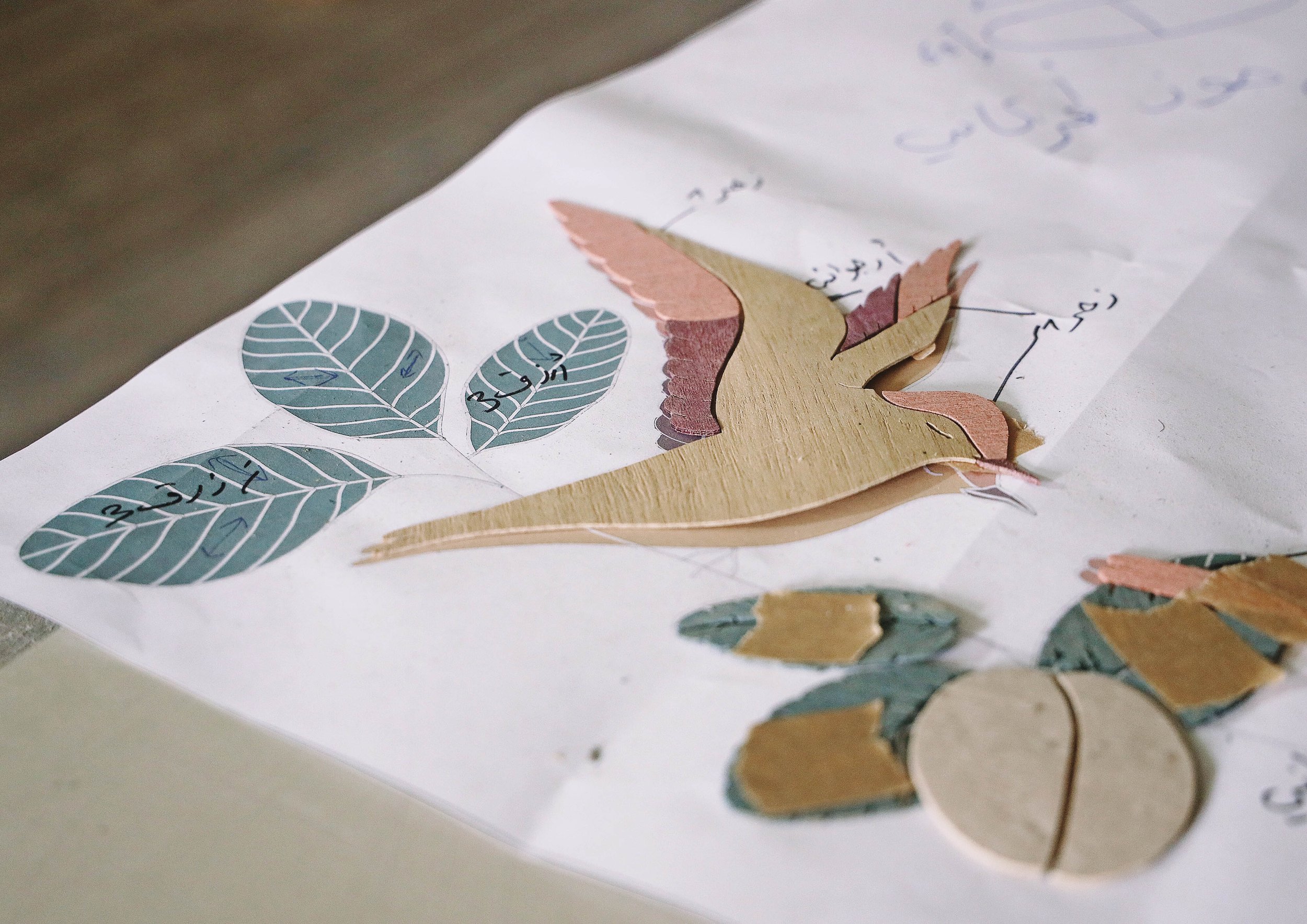 Patterns in Nature - Collection