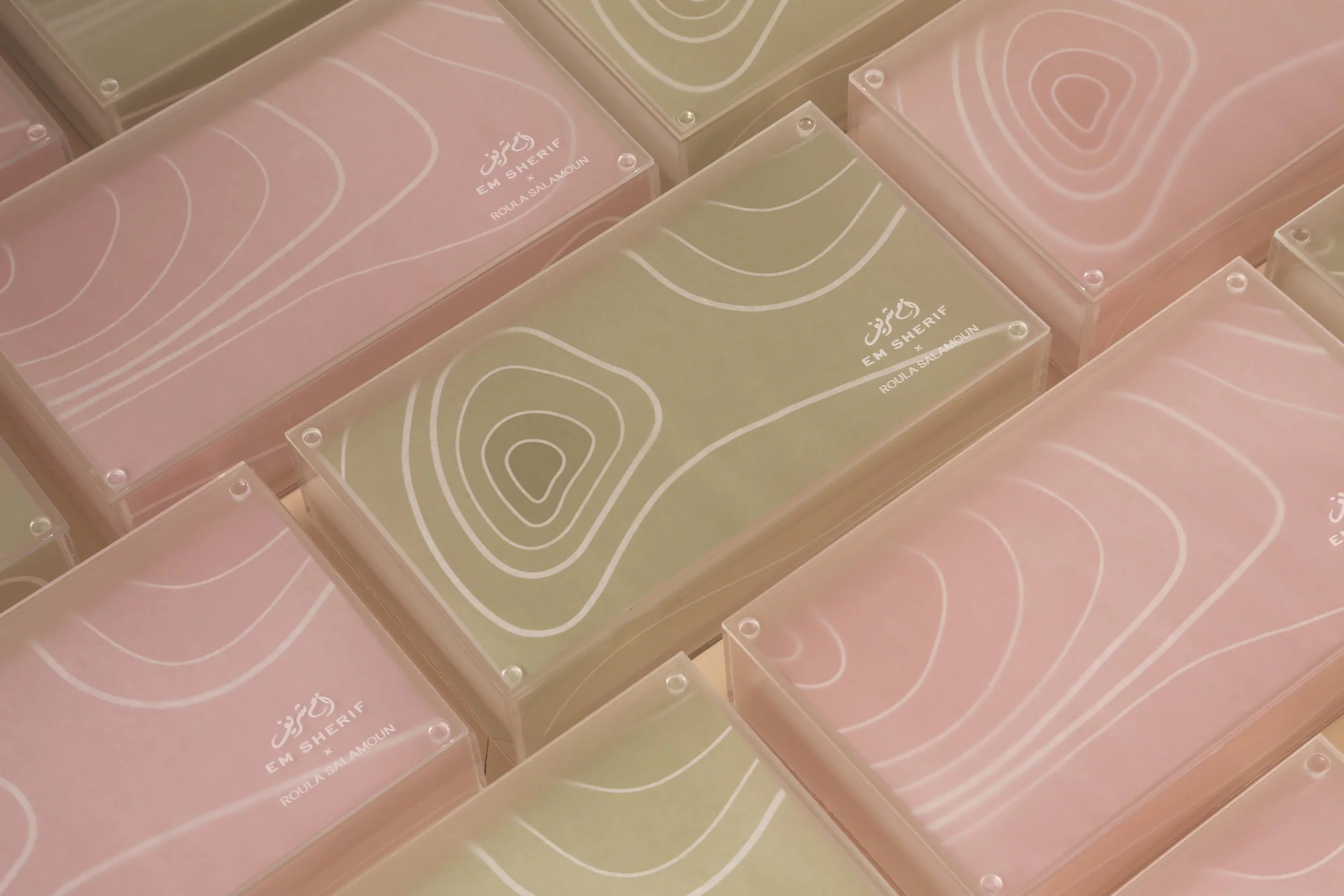 Property of Em Sherif - Photo by Michele Aoun (22) copy.jpg