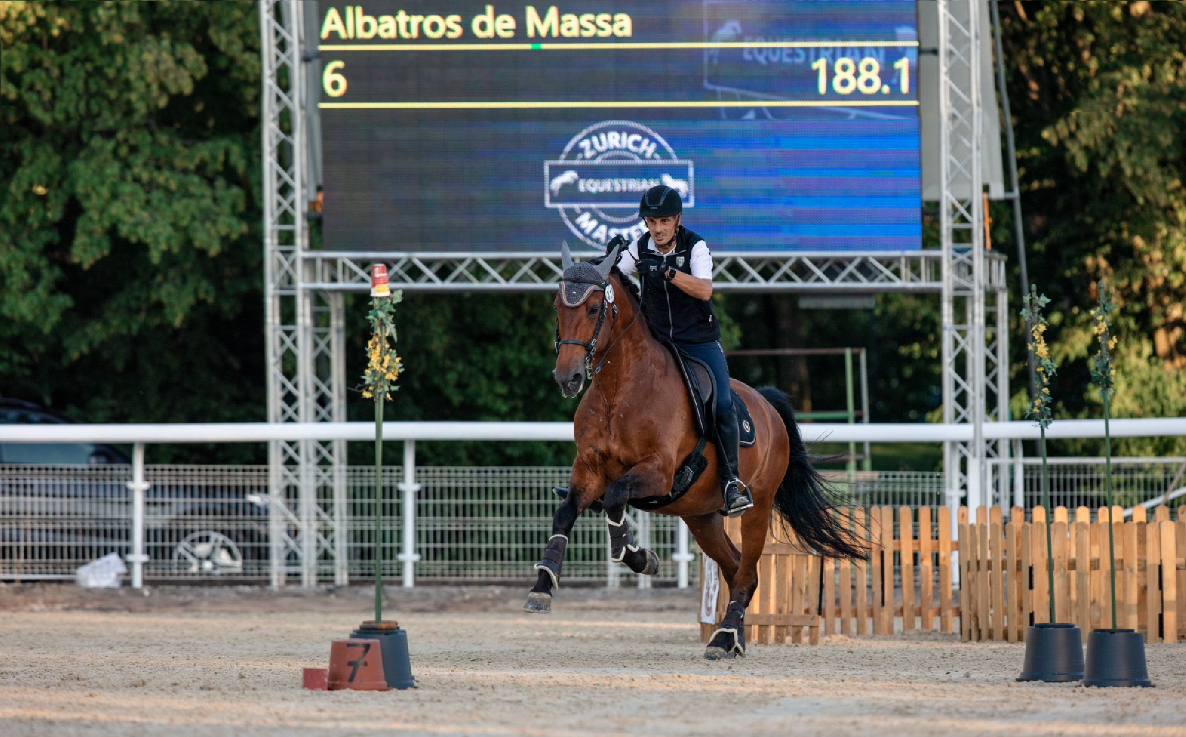 Zurich Working Equitation Masters
