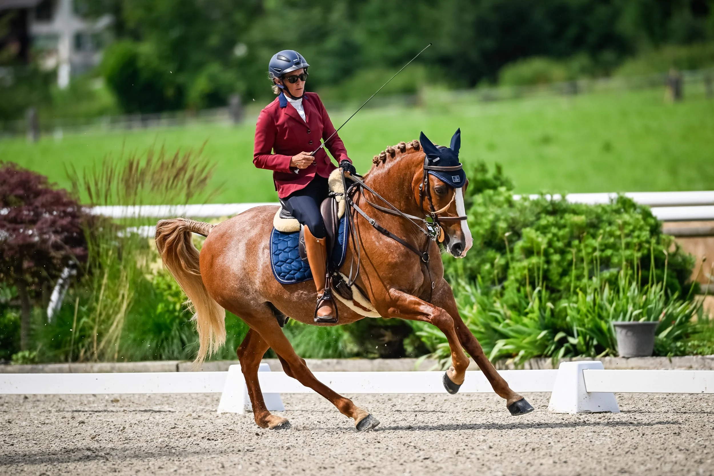 WE Equissima Lausanne