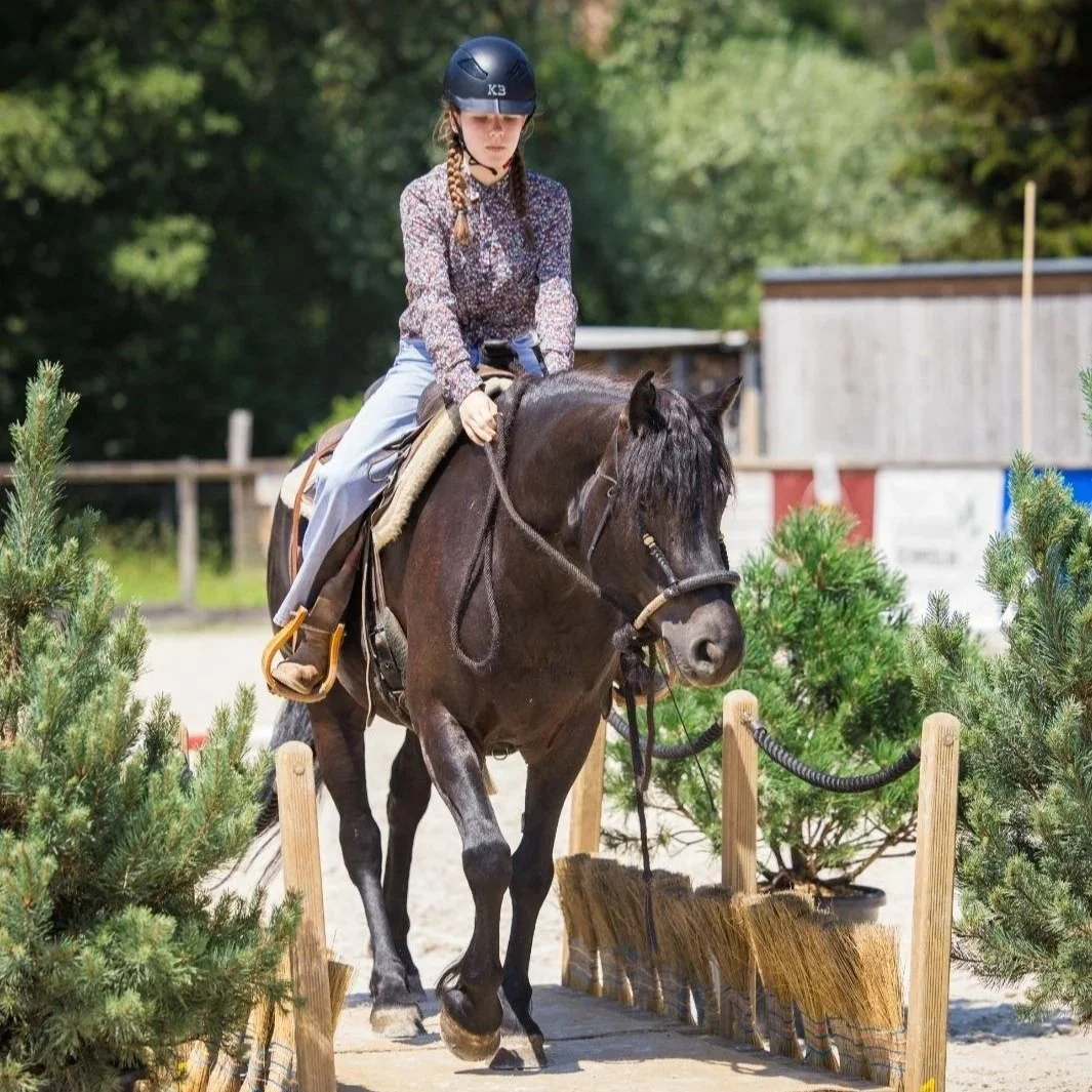 Working Equitation Trailtag Einsiedeln