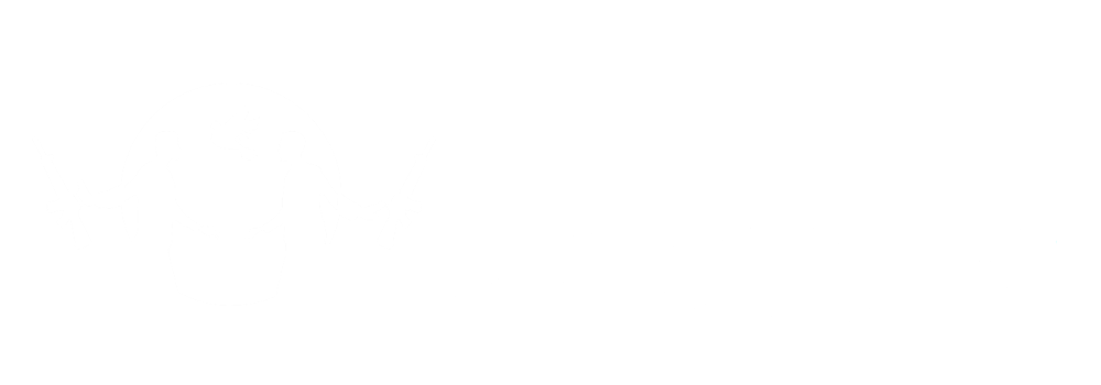 Norske venner av Combatants for Peace