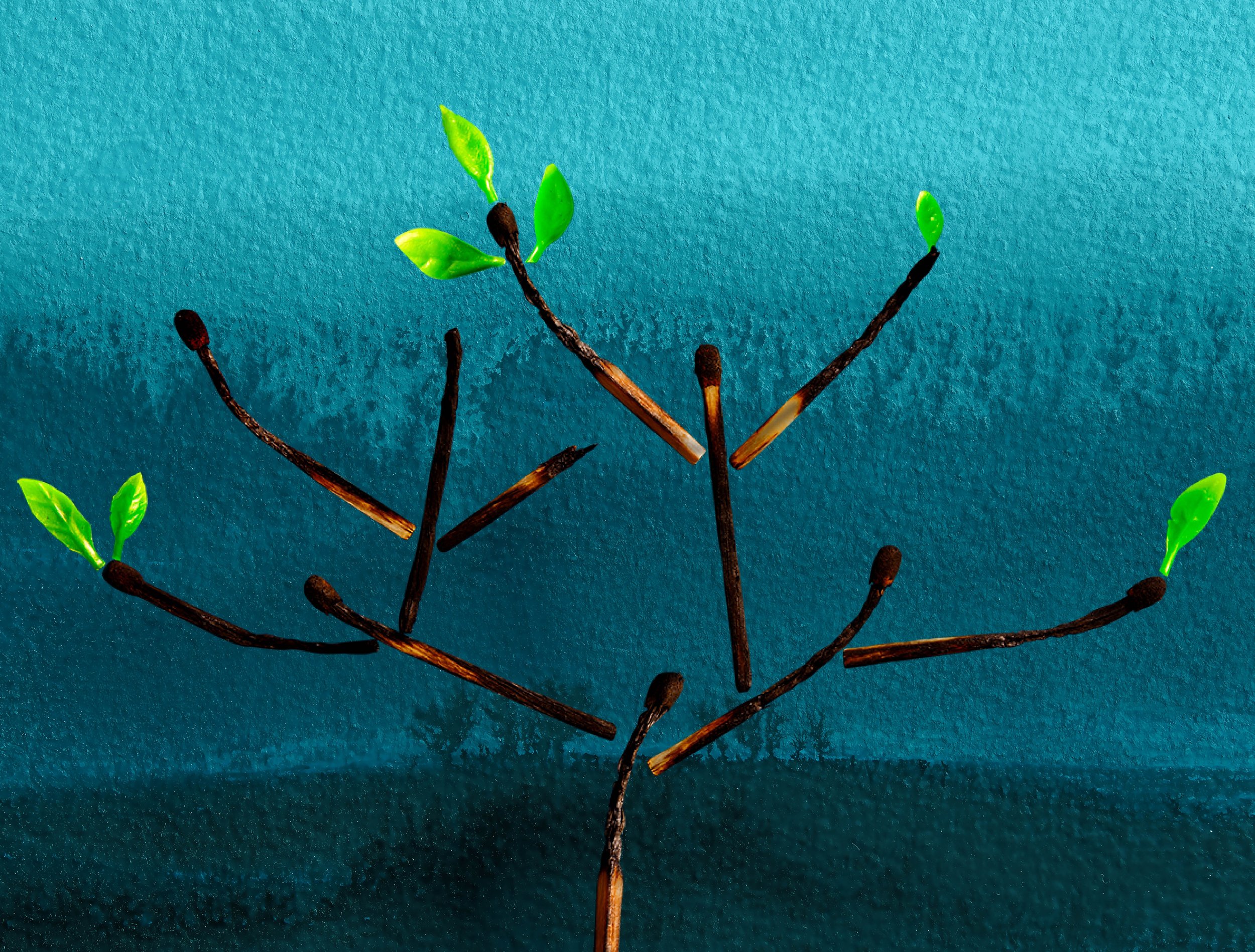 Minneseremonien 2026