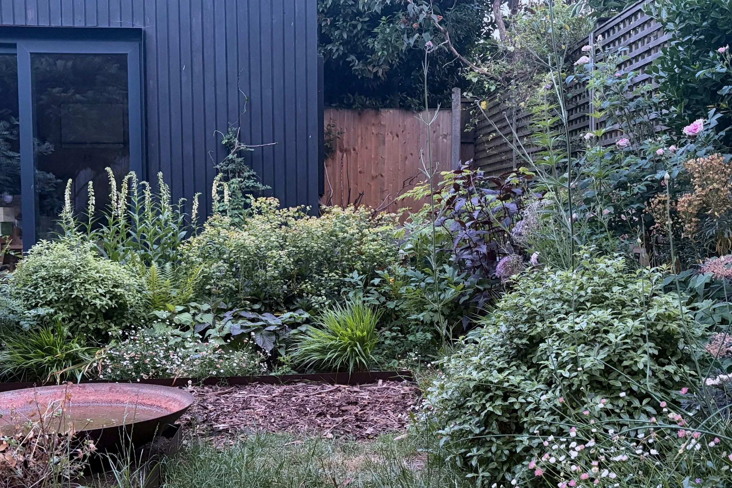 A lush back garden with a mixed flowering plants and greenery, a black garden studio, a corten steel water bowl. This garden has been designed by Studio Kamio, who provide high quality garden design and planting design in London.