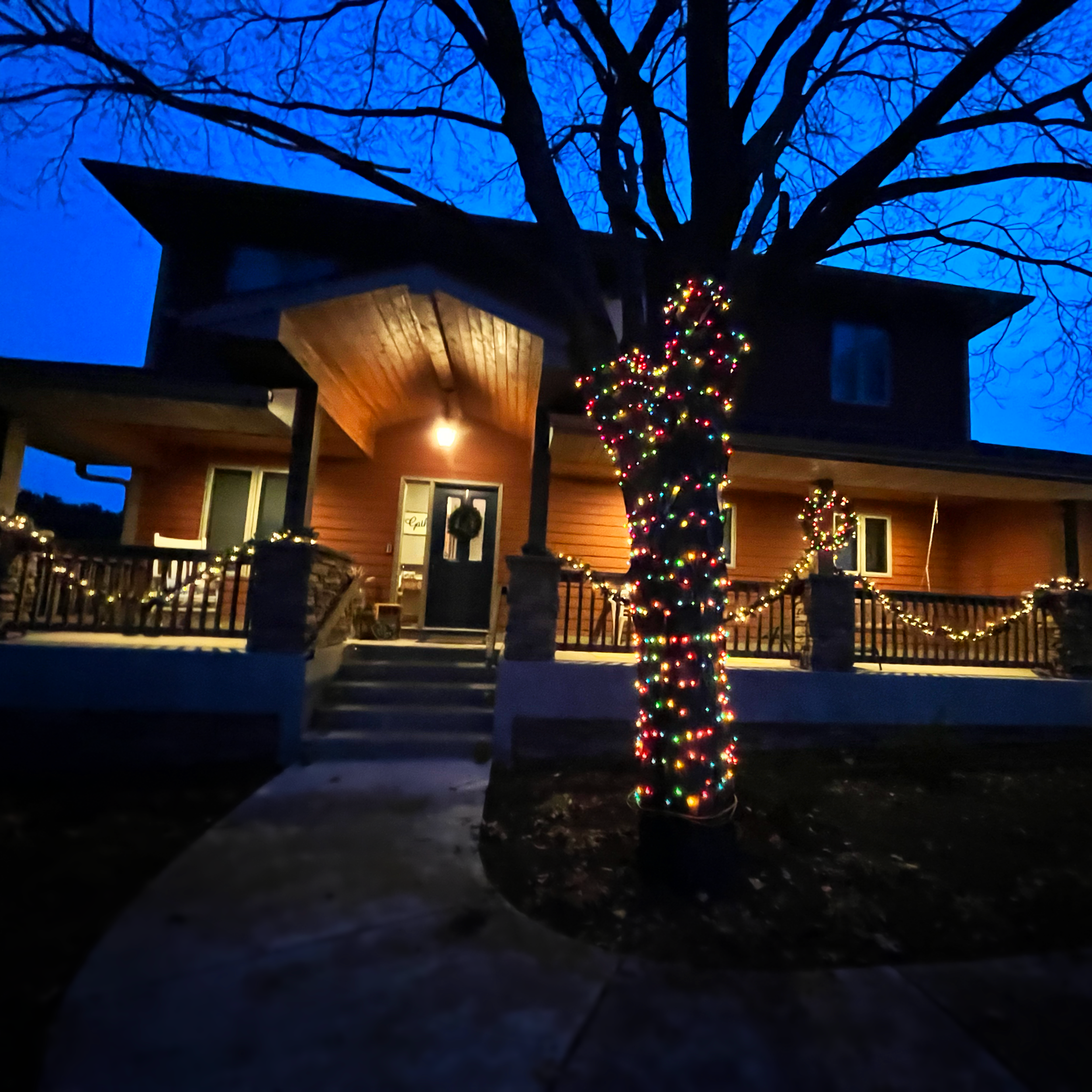 ChristmasLights.png