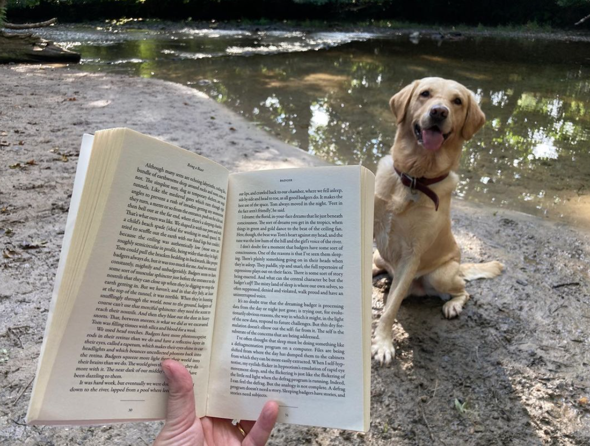 beth_emily_richards_multi_species_meet_ups