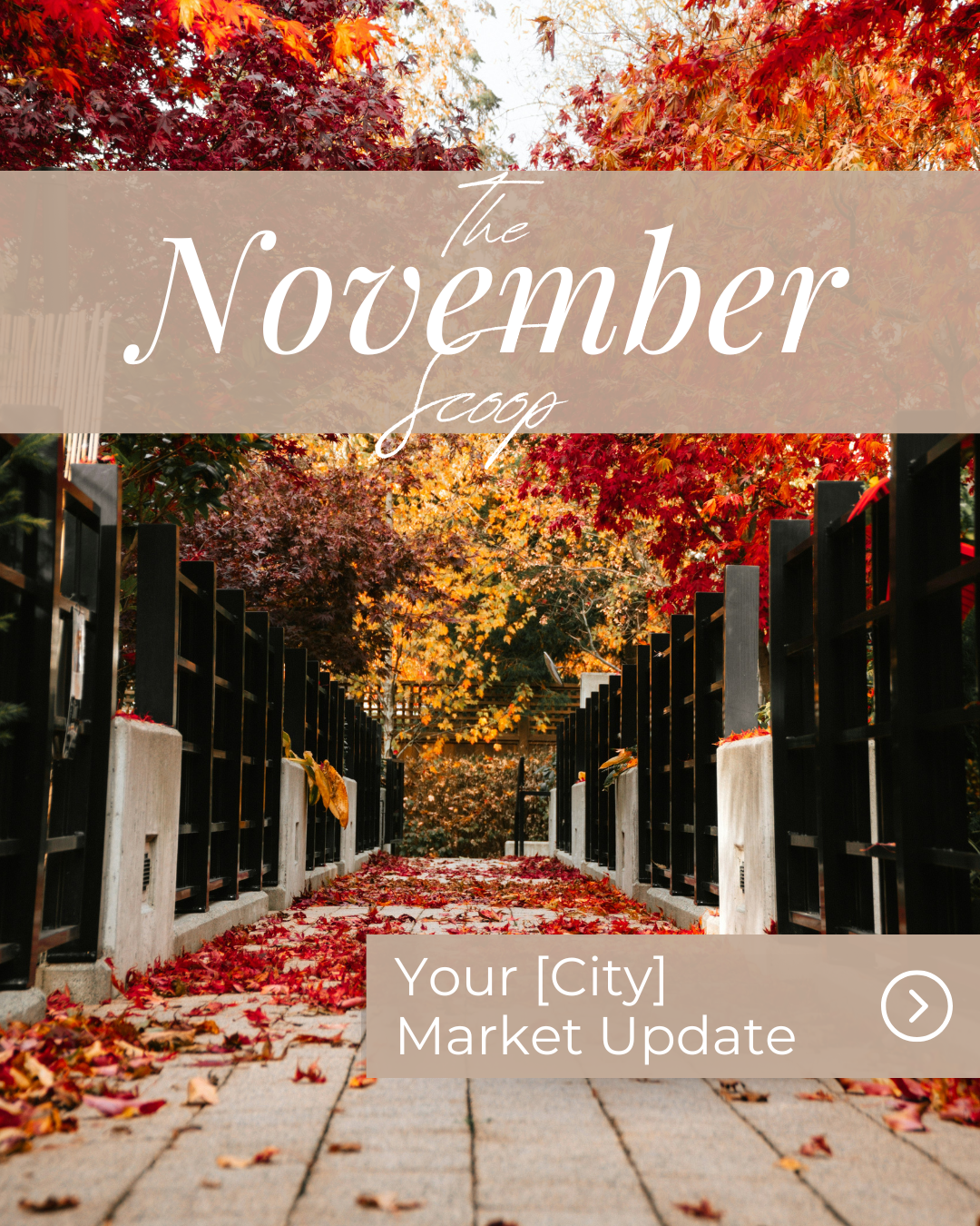 November Market Update