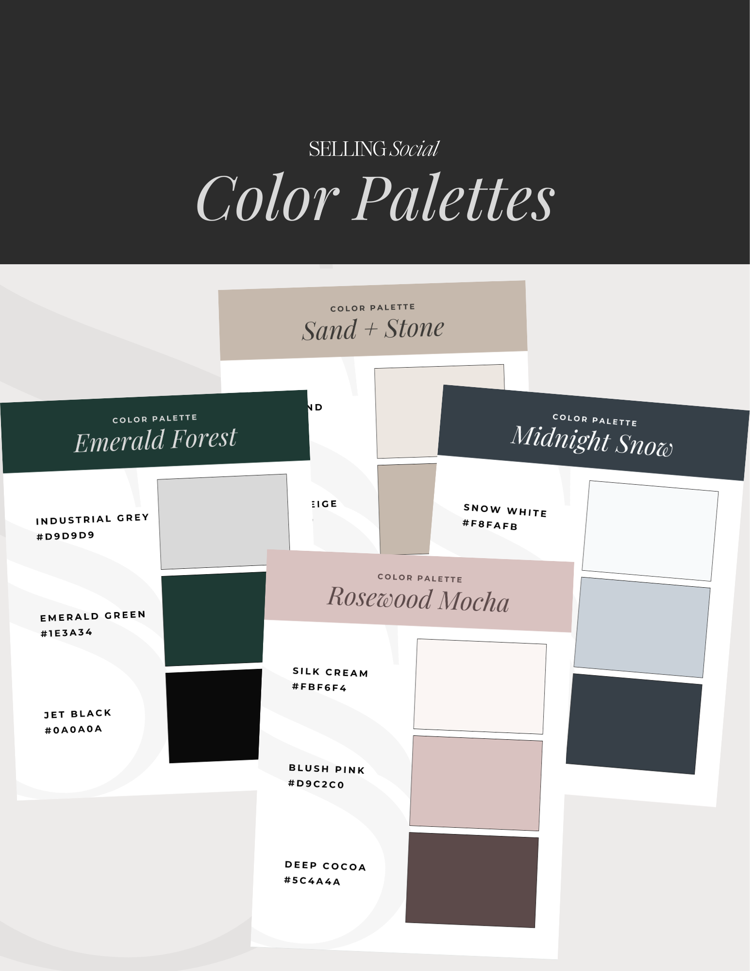 Brand Design: Color Palettes