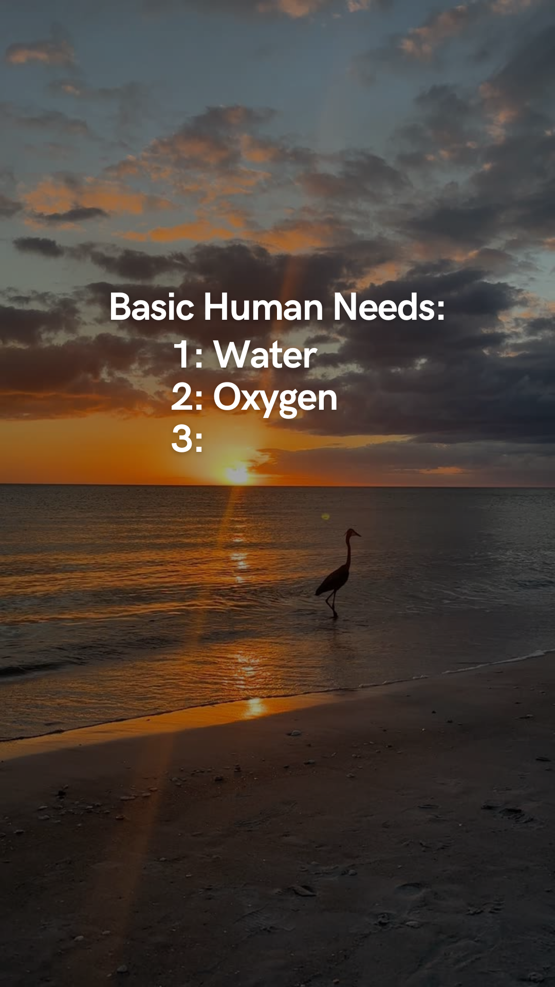 Trending reel: Basic human needs