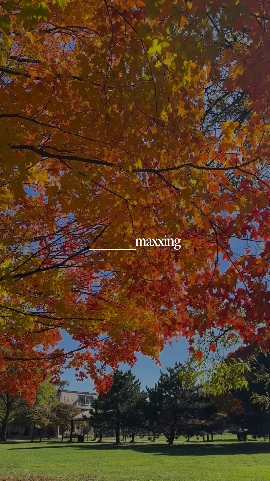 Trending reel: _____maxxing