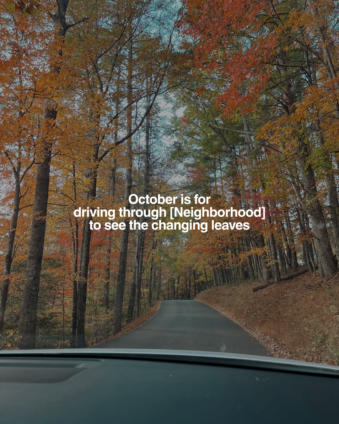 Trending carousel: October is for...