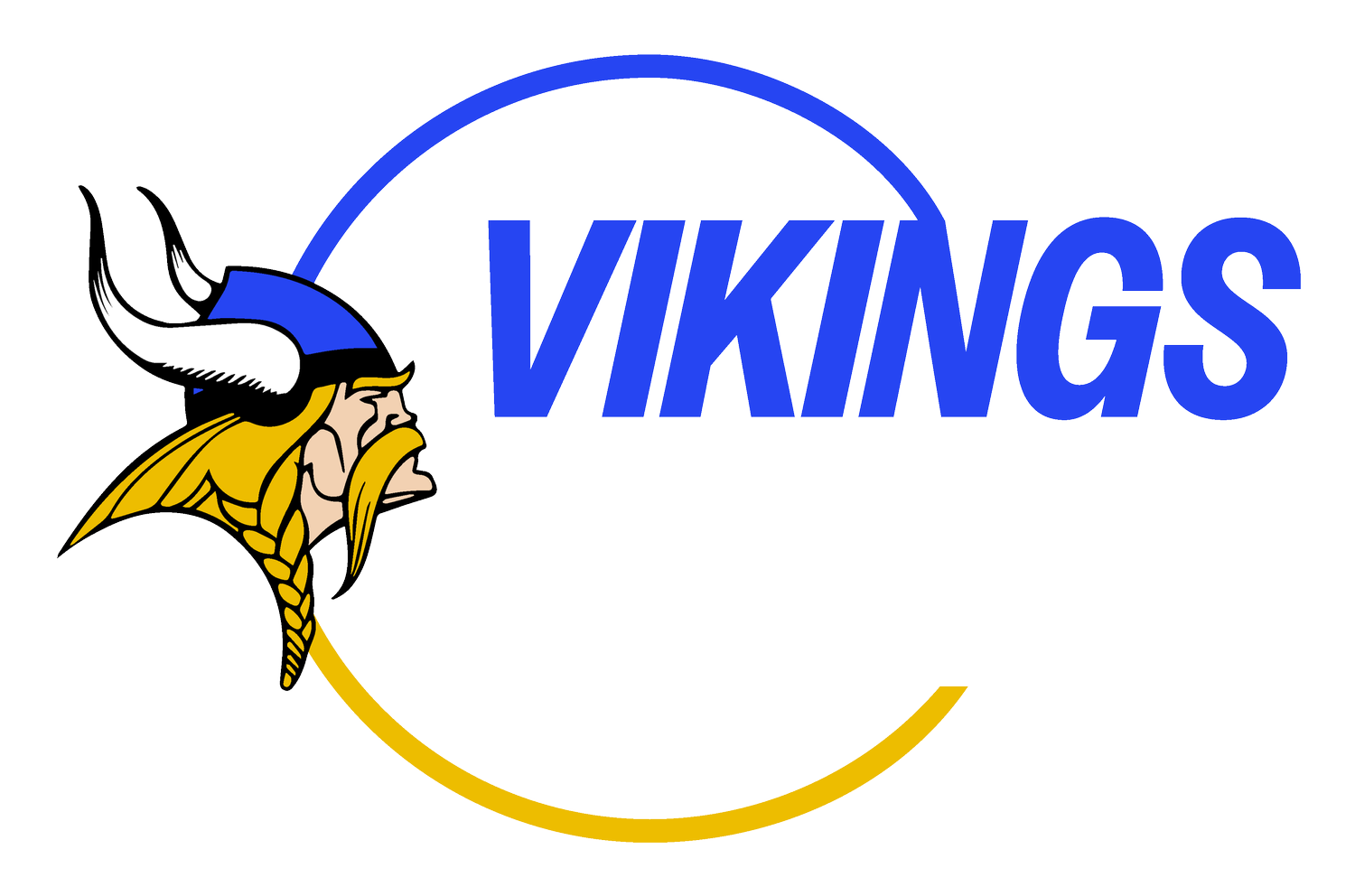 Vikings Vision