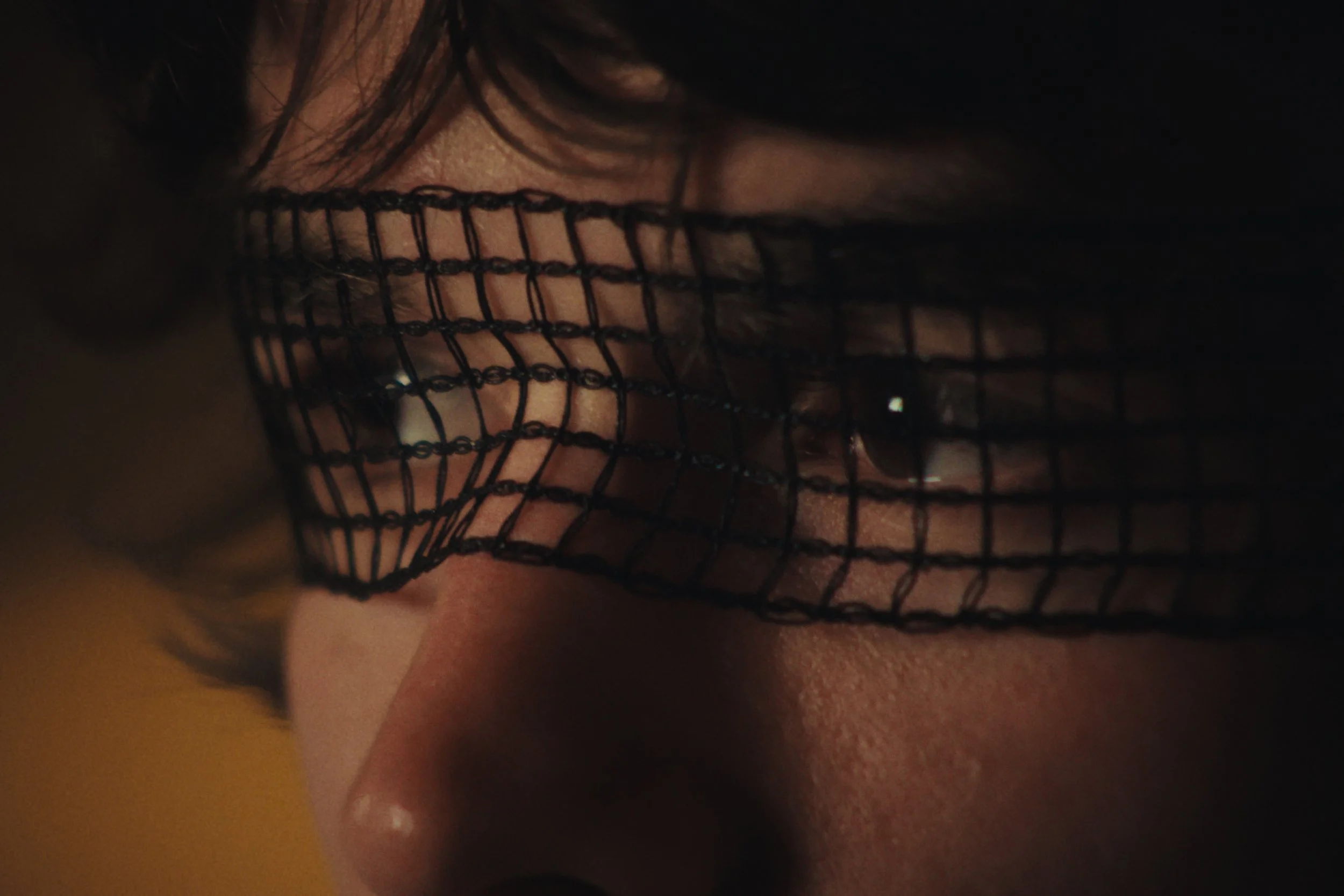 04_26 - Vena_Stills_1.32.1.jpg