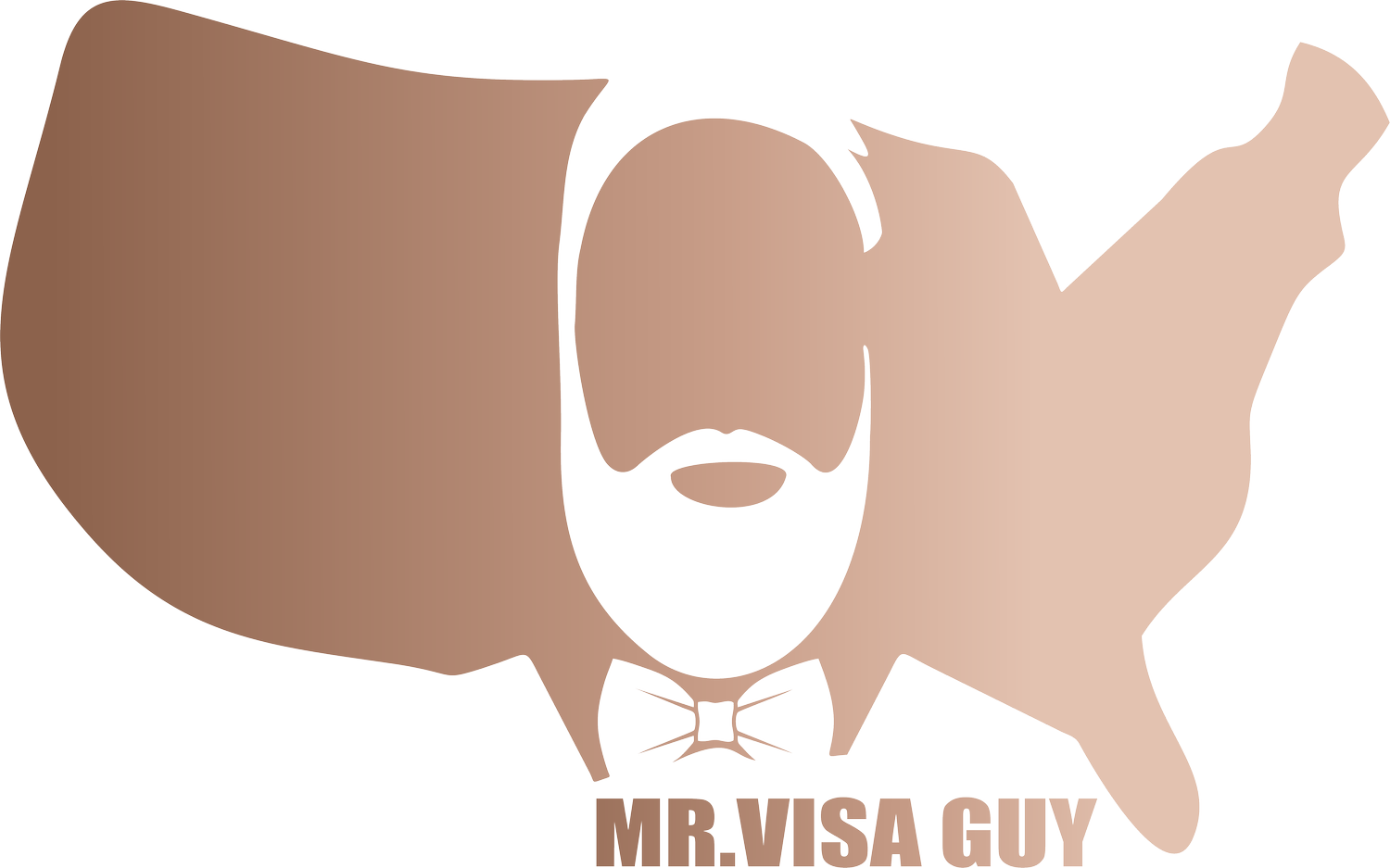 Mr Visa Guy