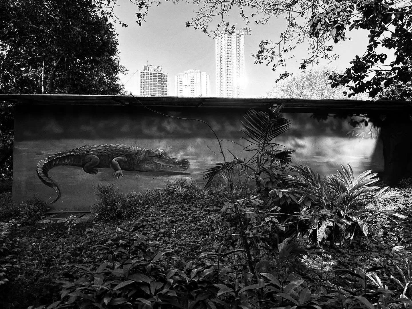 An enjoyable walk yesterday with a few unusual sightings
.
.
.
.
.
#streetphotographymumbai #streetphotographyindia #streetphotographyinternational #bwstreet #candidstreet #shotoniphone #shotoniphone13promax #thestreetphotographyhub #streetphotograph