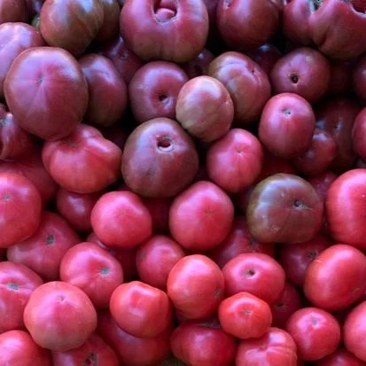 Tomatoes
