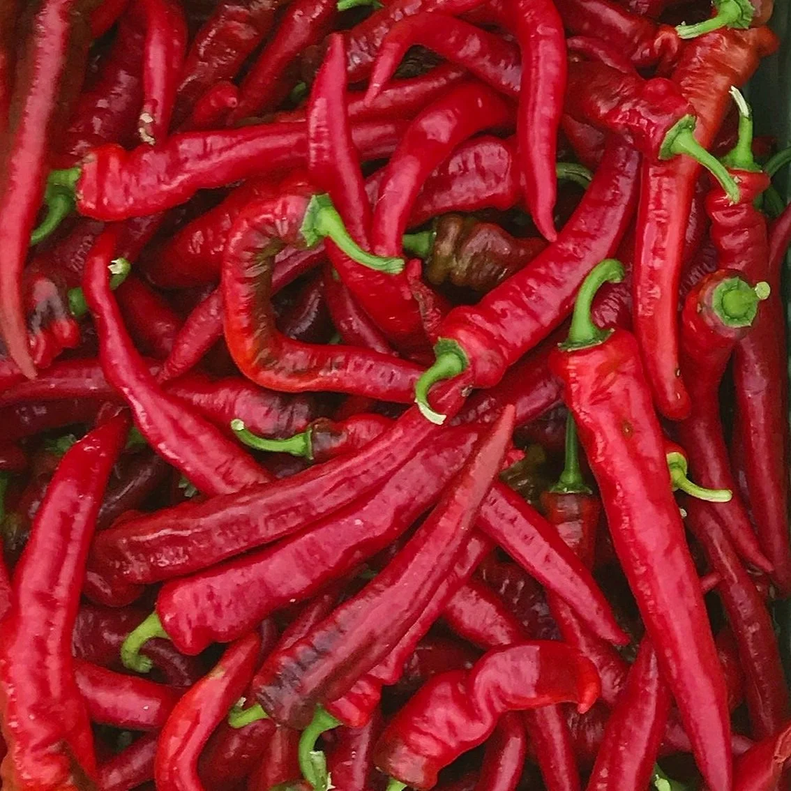 Jimmy Nardello Peppers