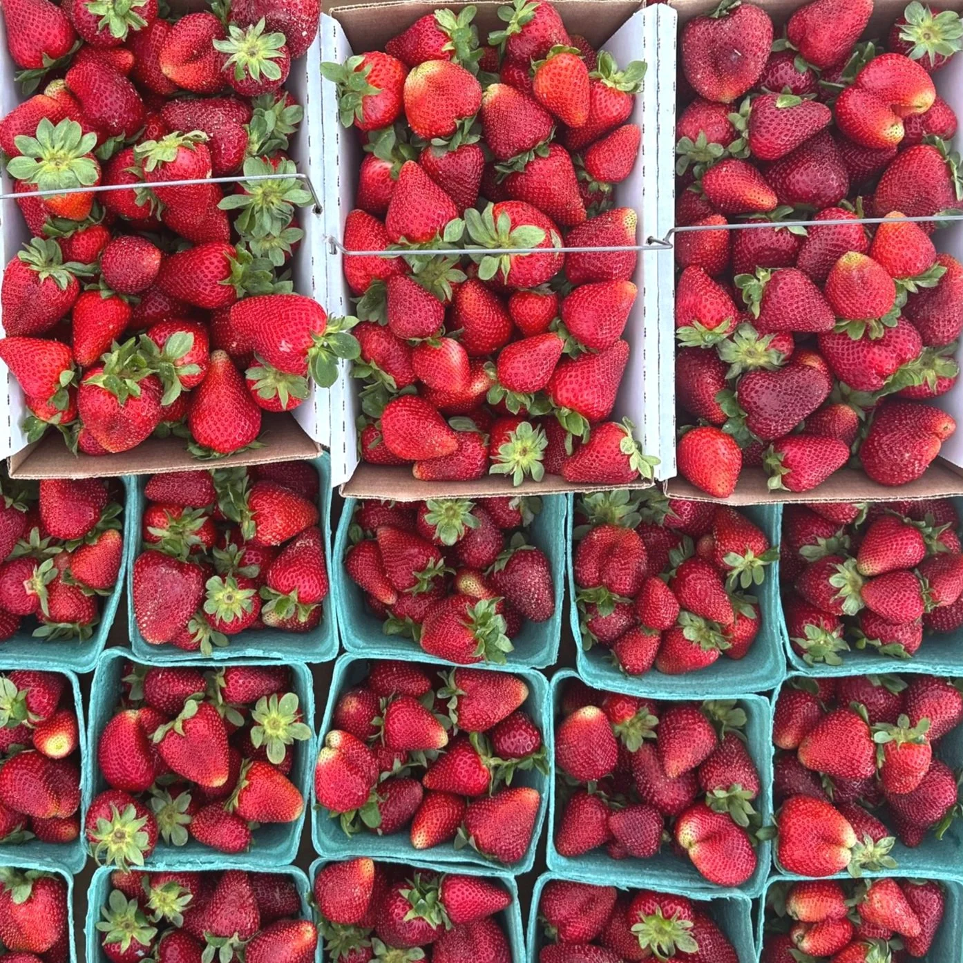 Strawberries