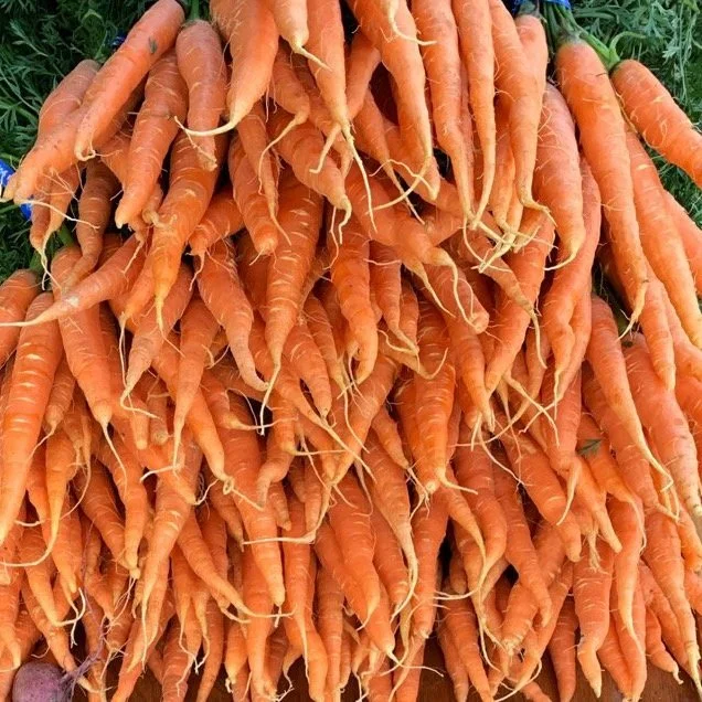 Carrots
