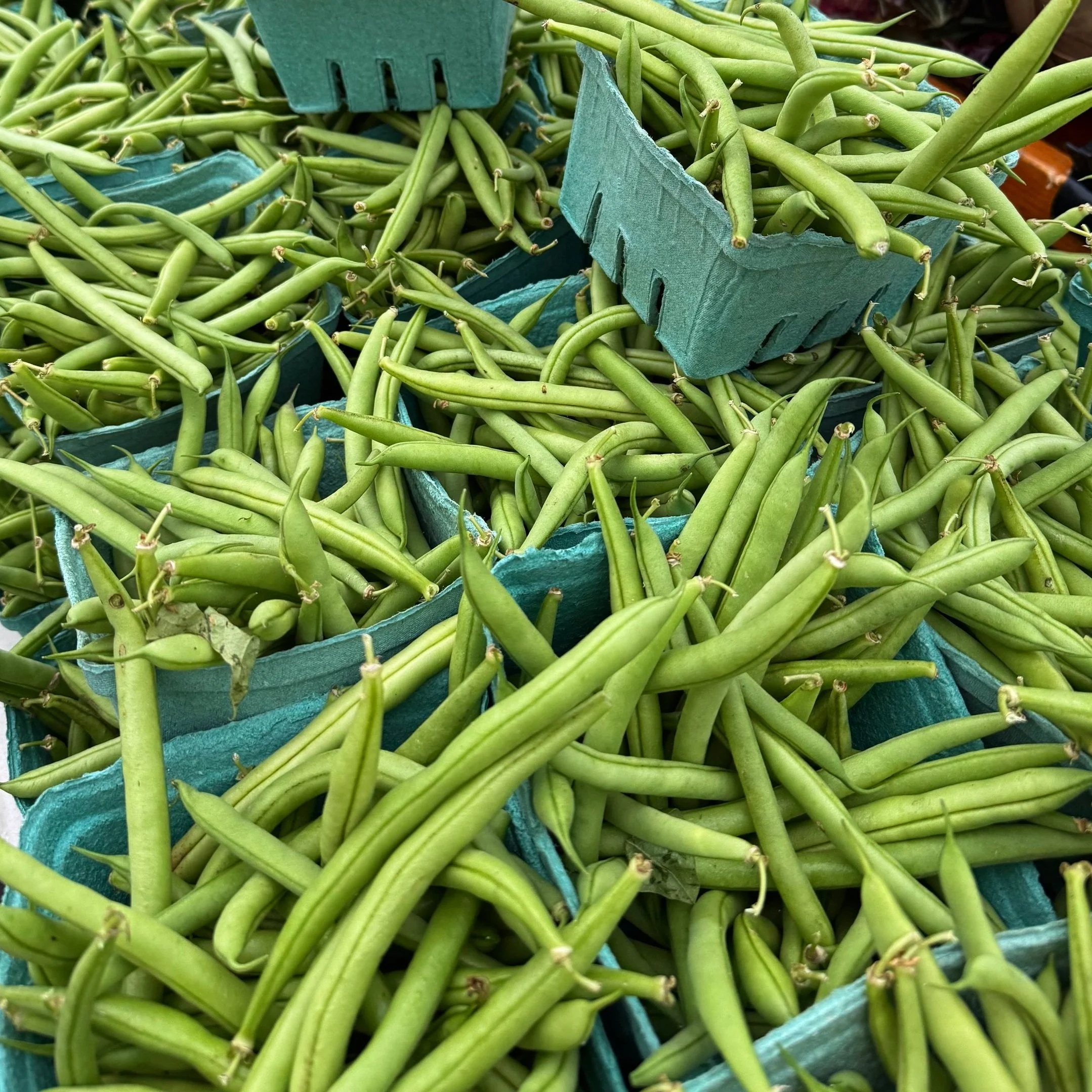Green Beans