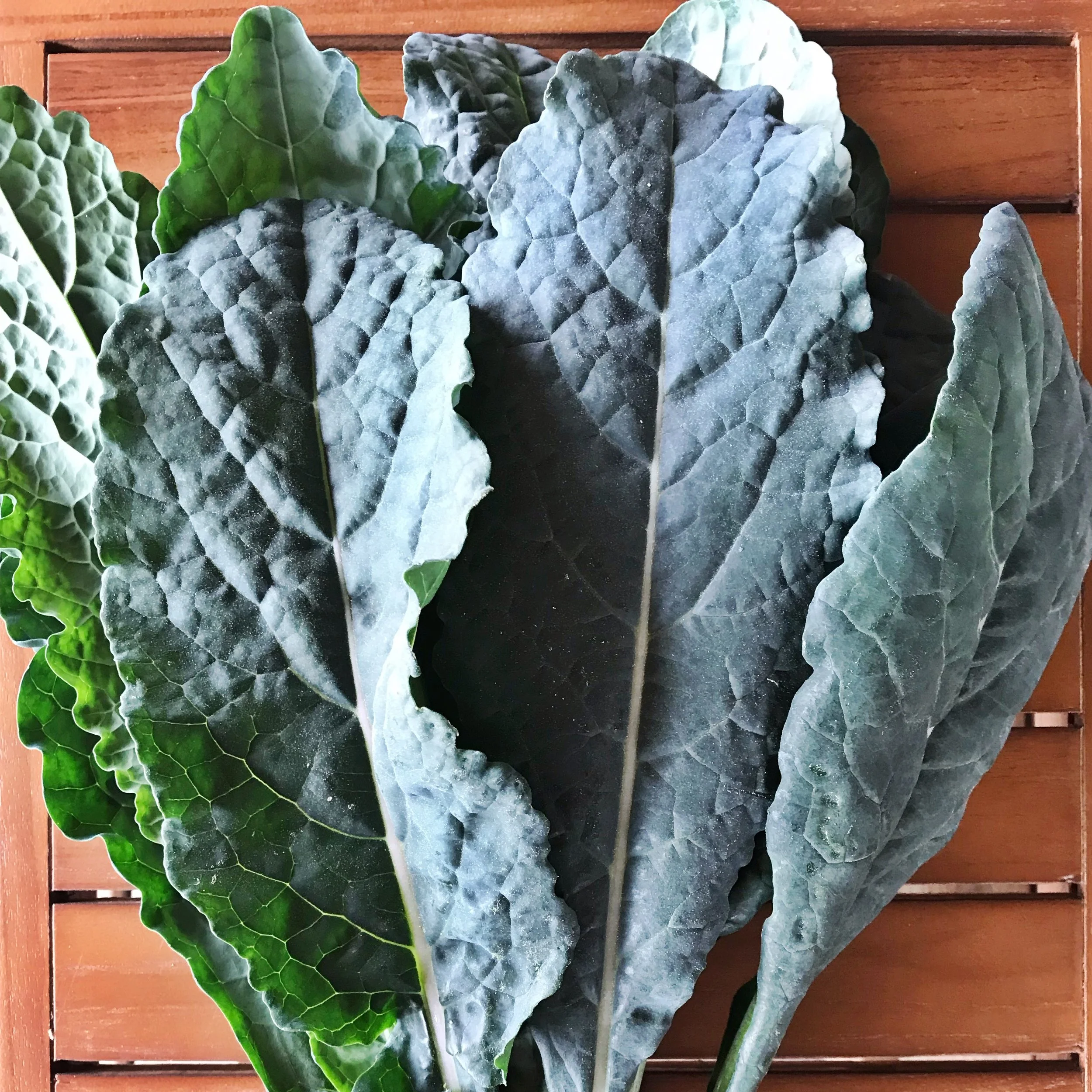 Kale