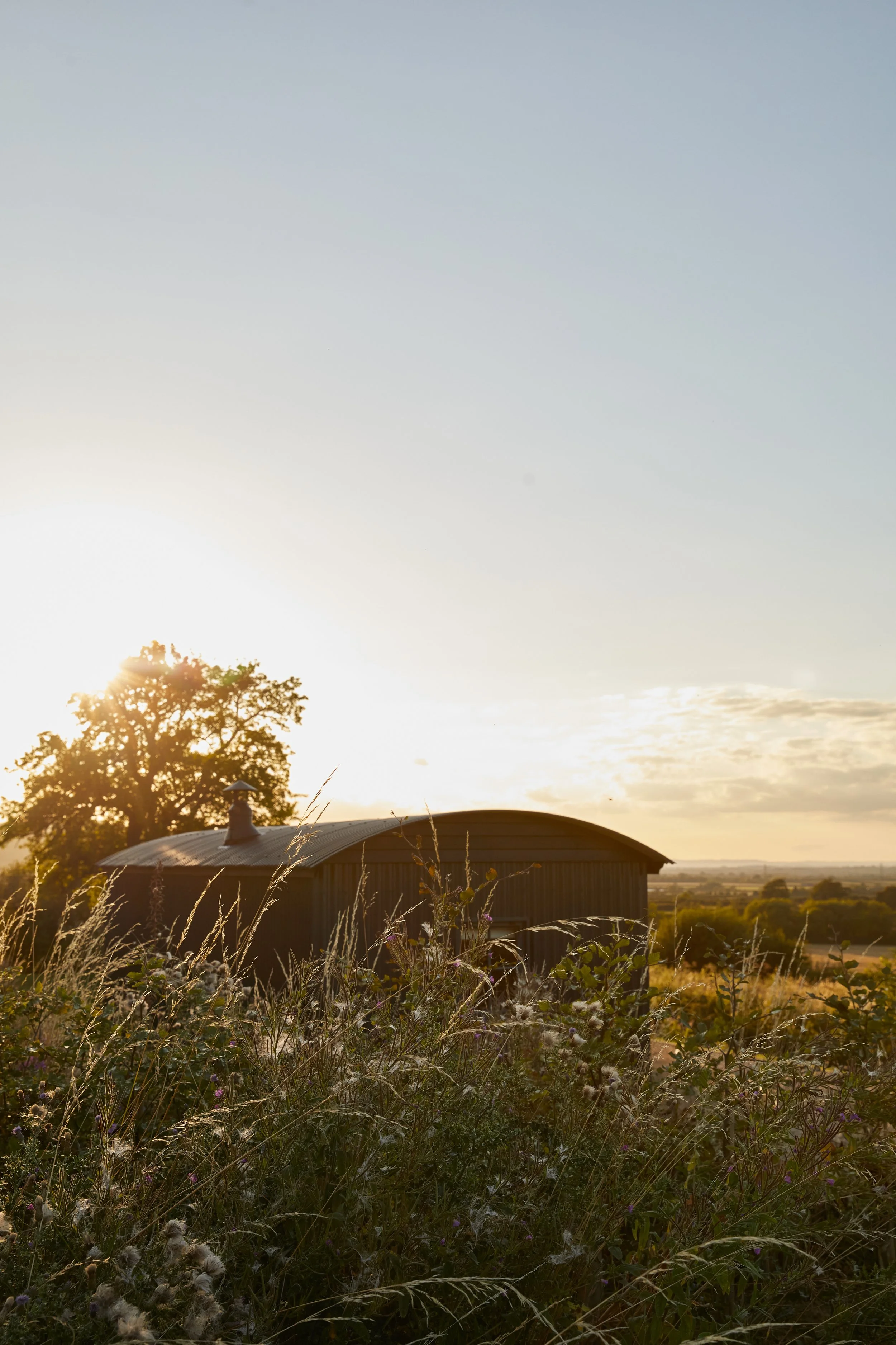 TheHuts_9X2A8911.jpg