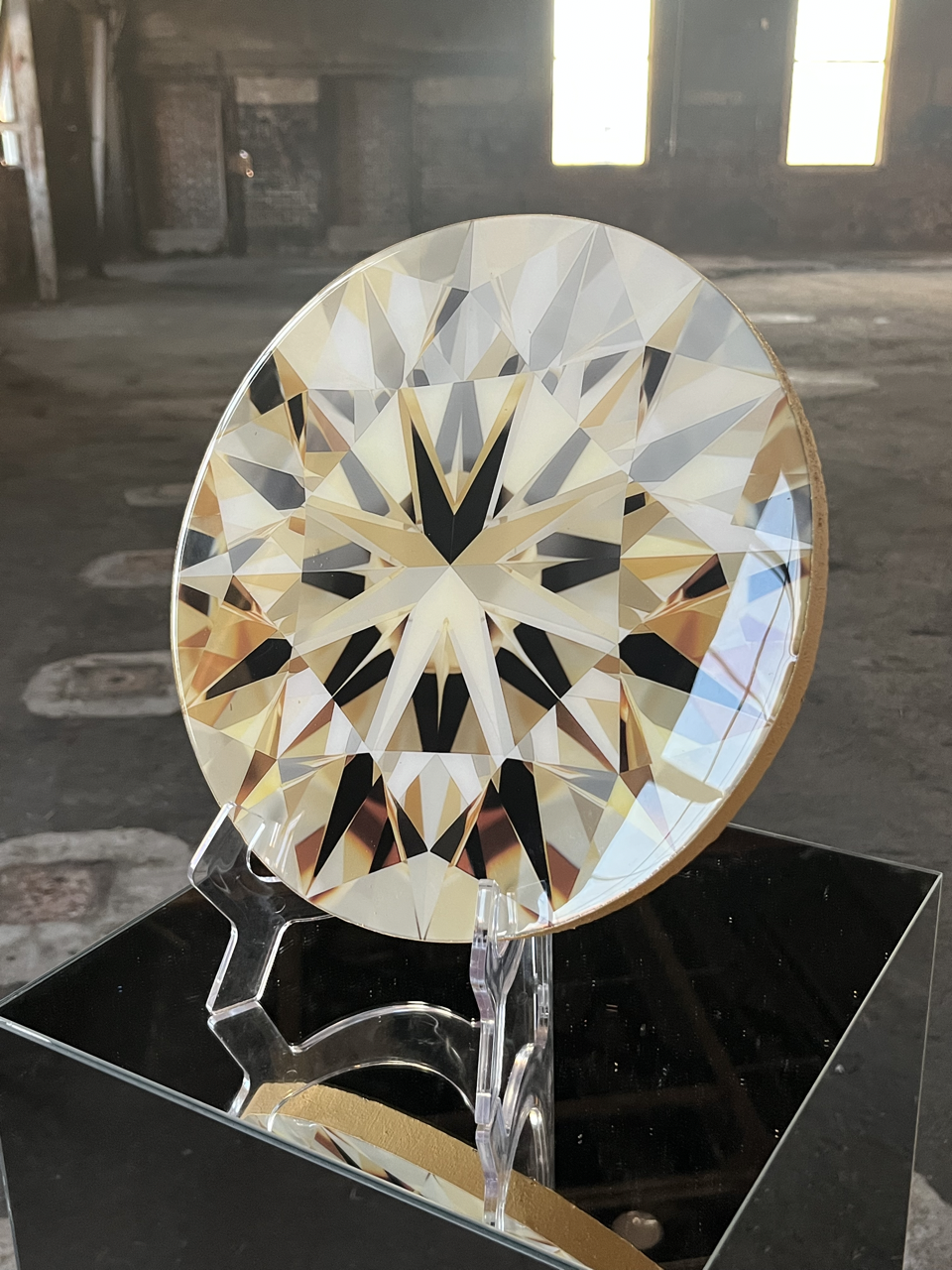 IMG_1689 Large 2.png