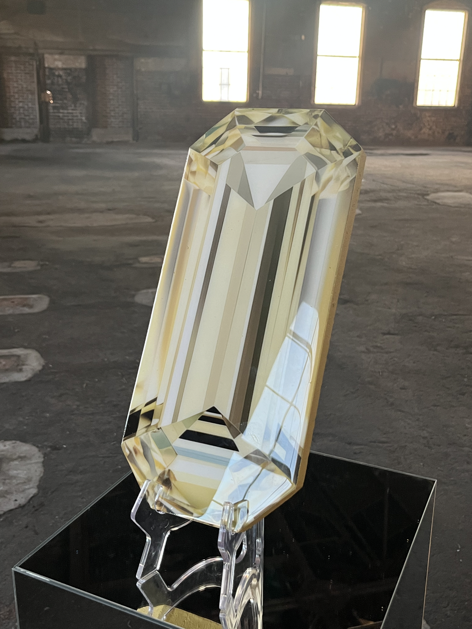 IMG_1703 Large 2.png