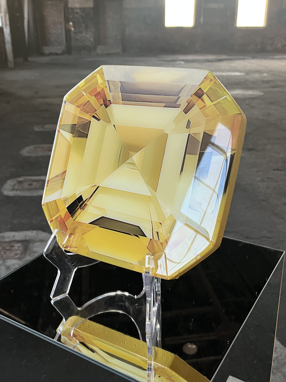 IMG_1700 Large 2.png