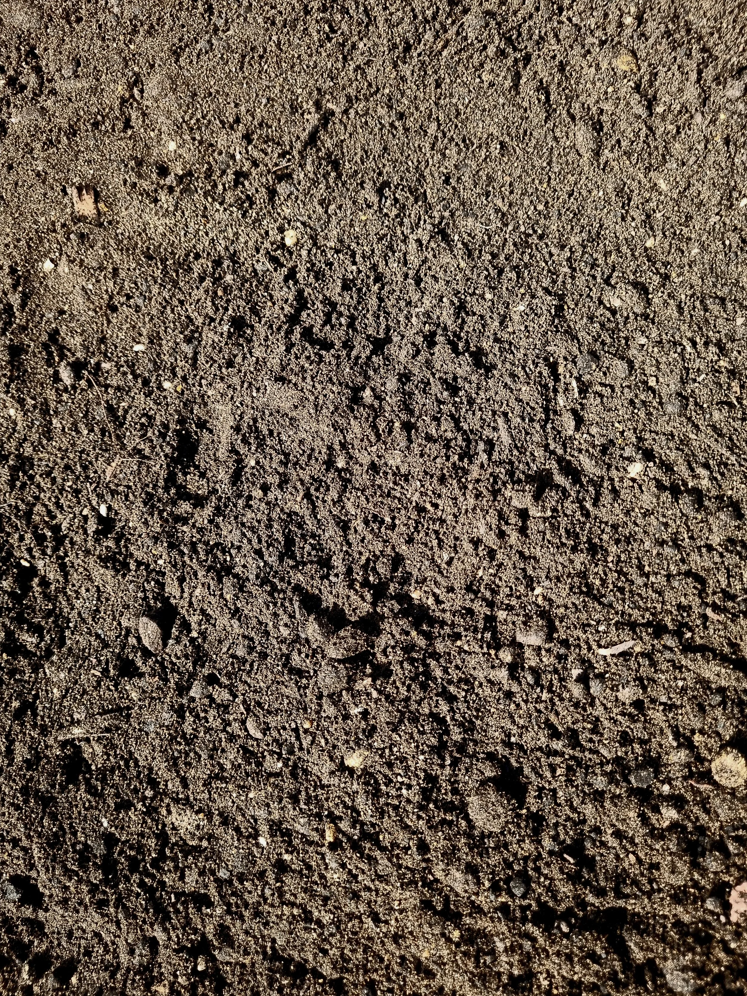 MADDINGLEY DOUBLE BIO