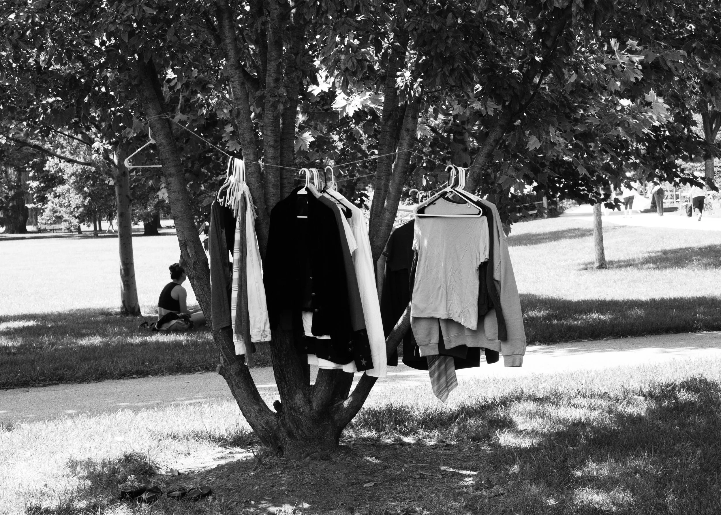 _MG_3135bw.jpg
