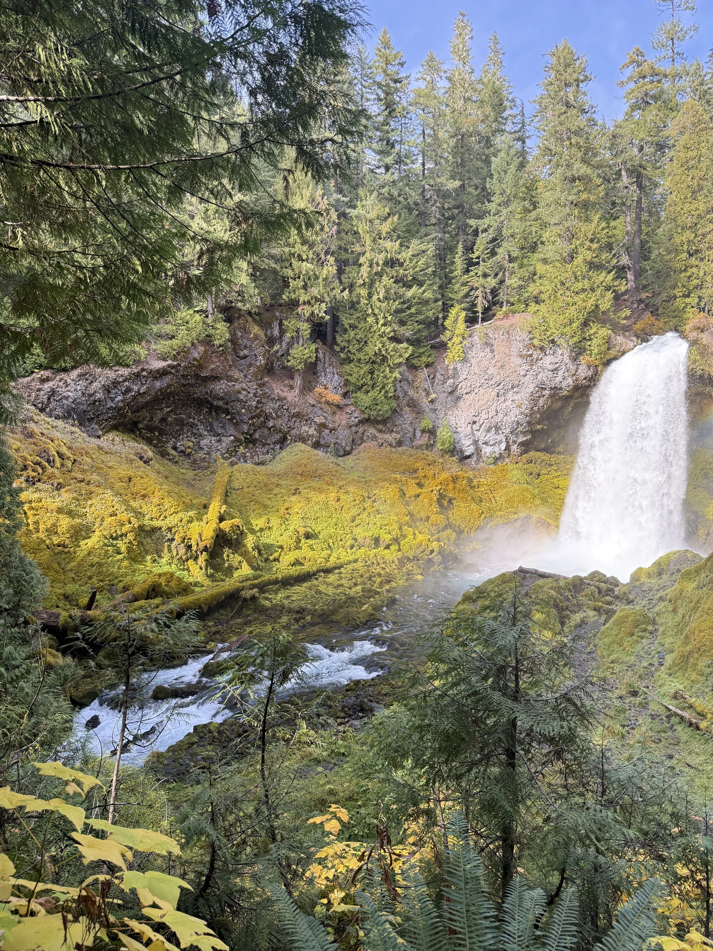 Sahalie and Koosah Falls Trail