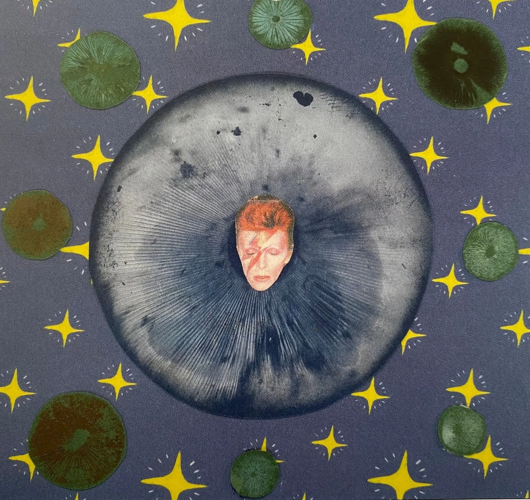 Bowie Spore Print.jpg
