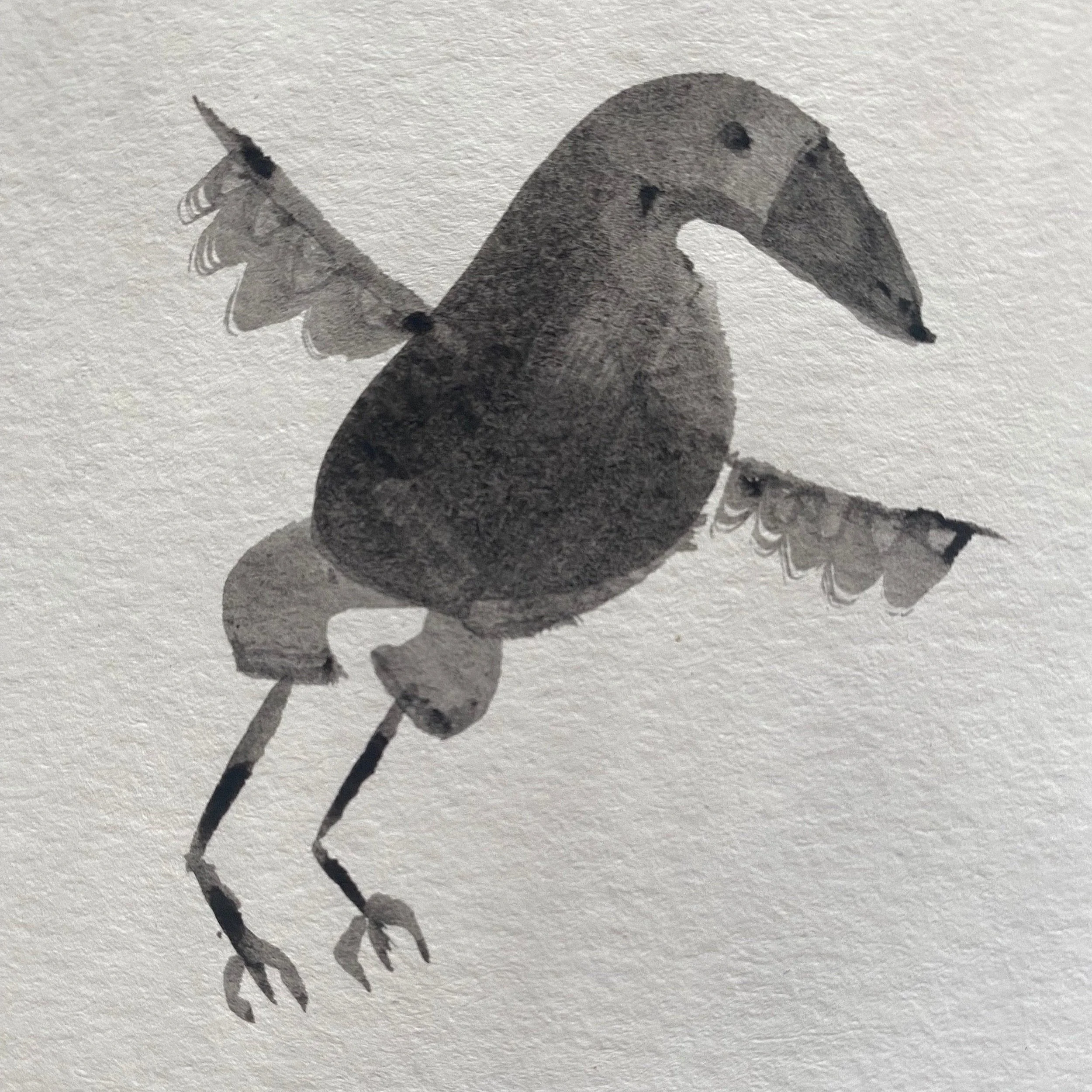 Beltline Oak Gall Black Bird 002.jpg