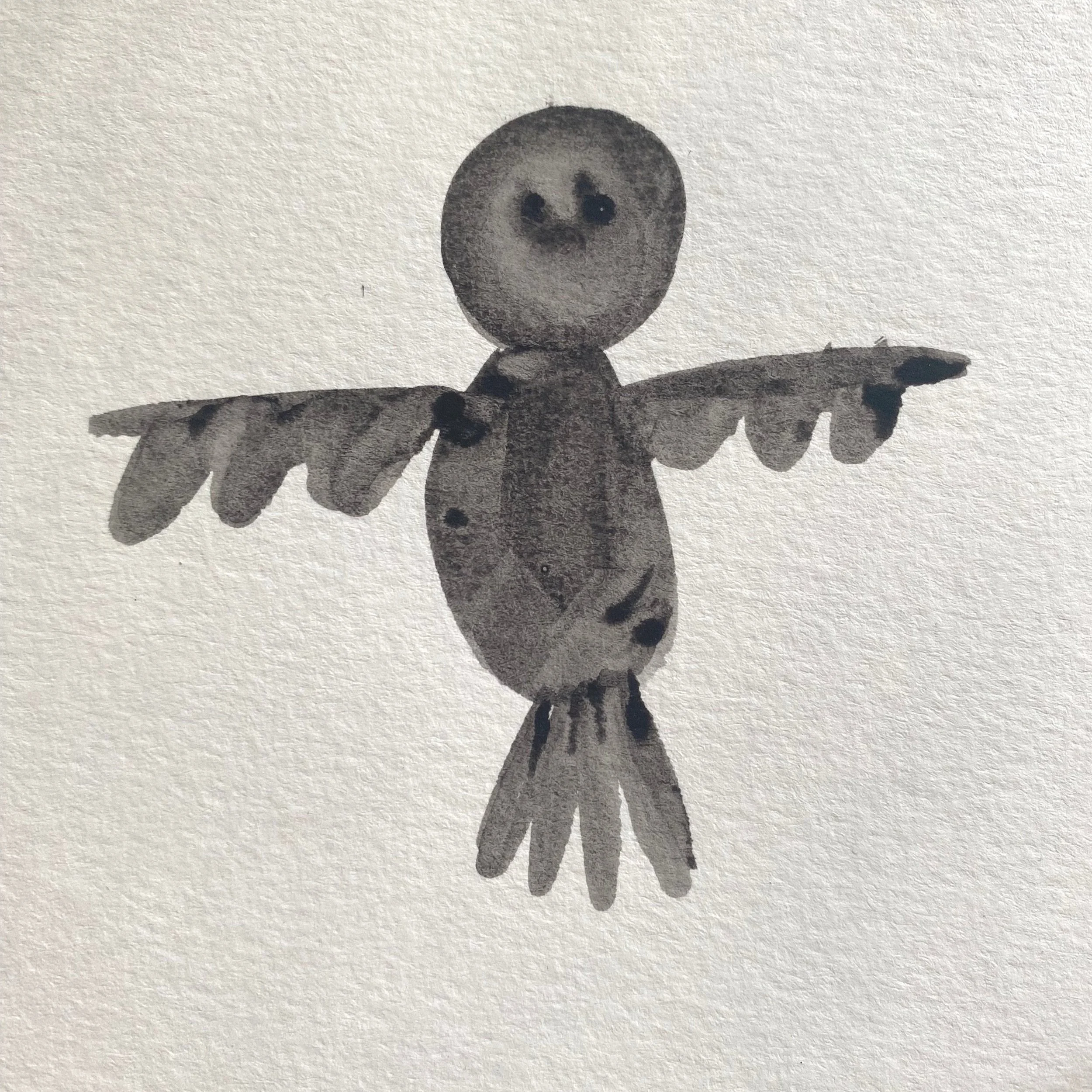 Beltline Oak Gall Black Owl.jpg
