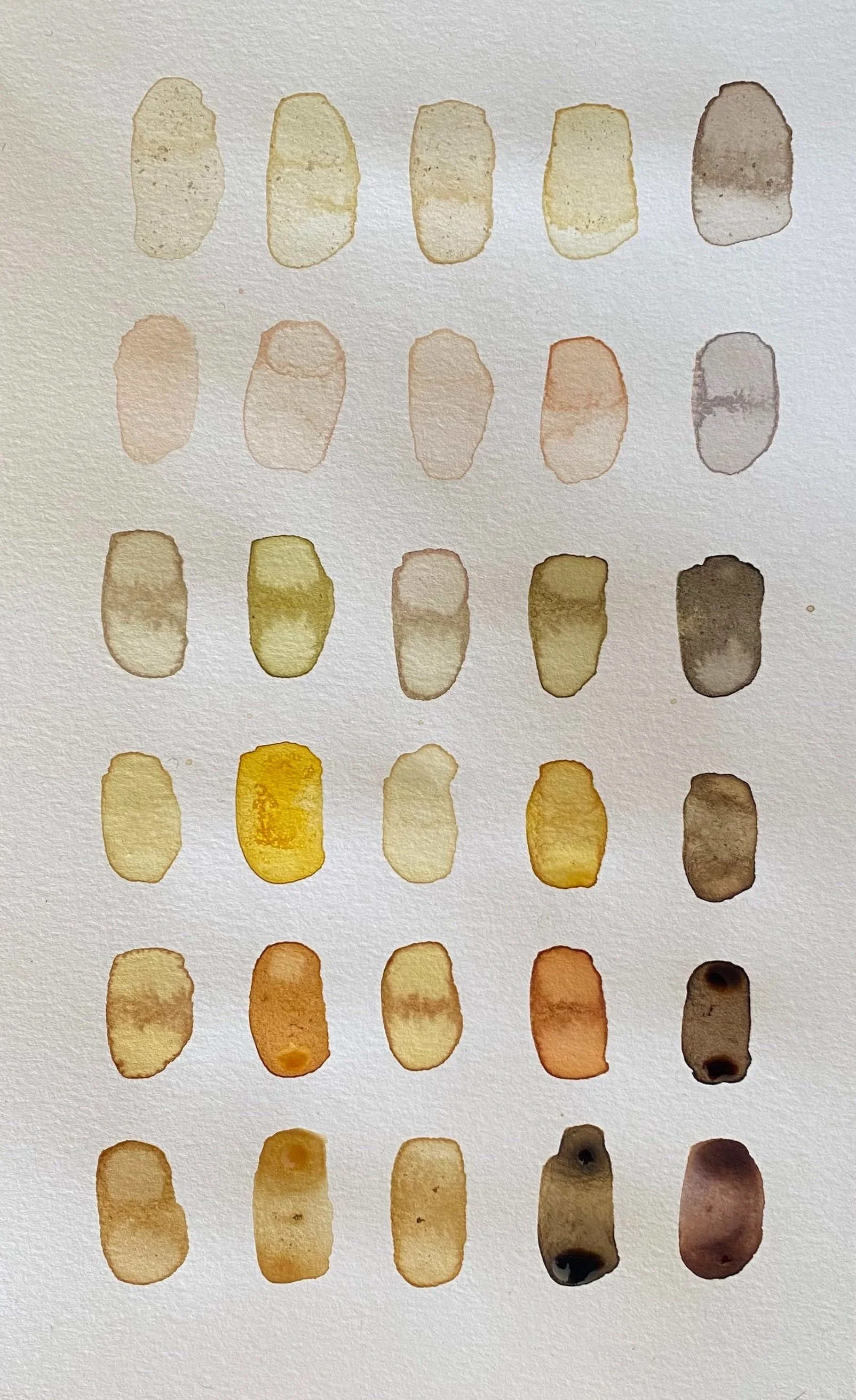 Ink 2024 01.jpg
