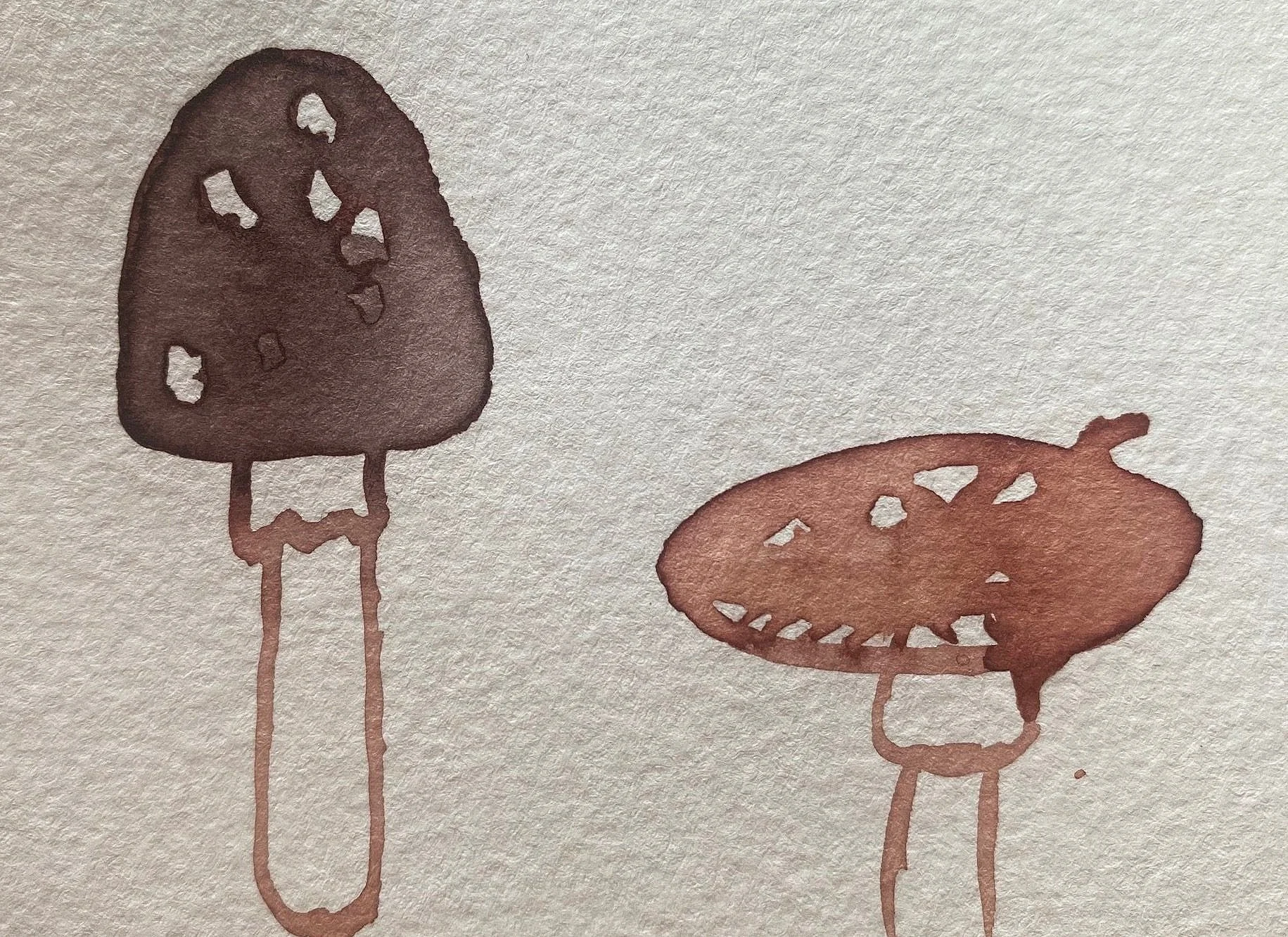 Avocado Mushrooms 02.jpg