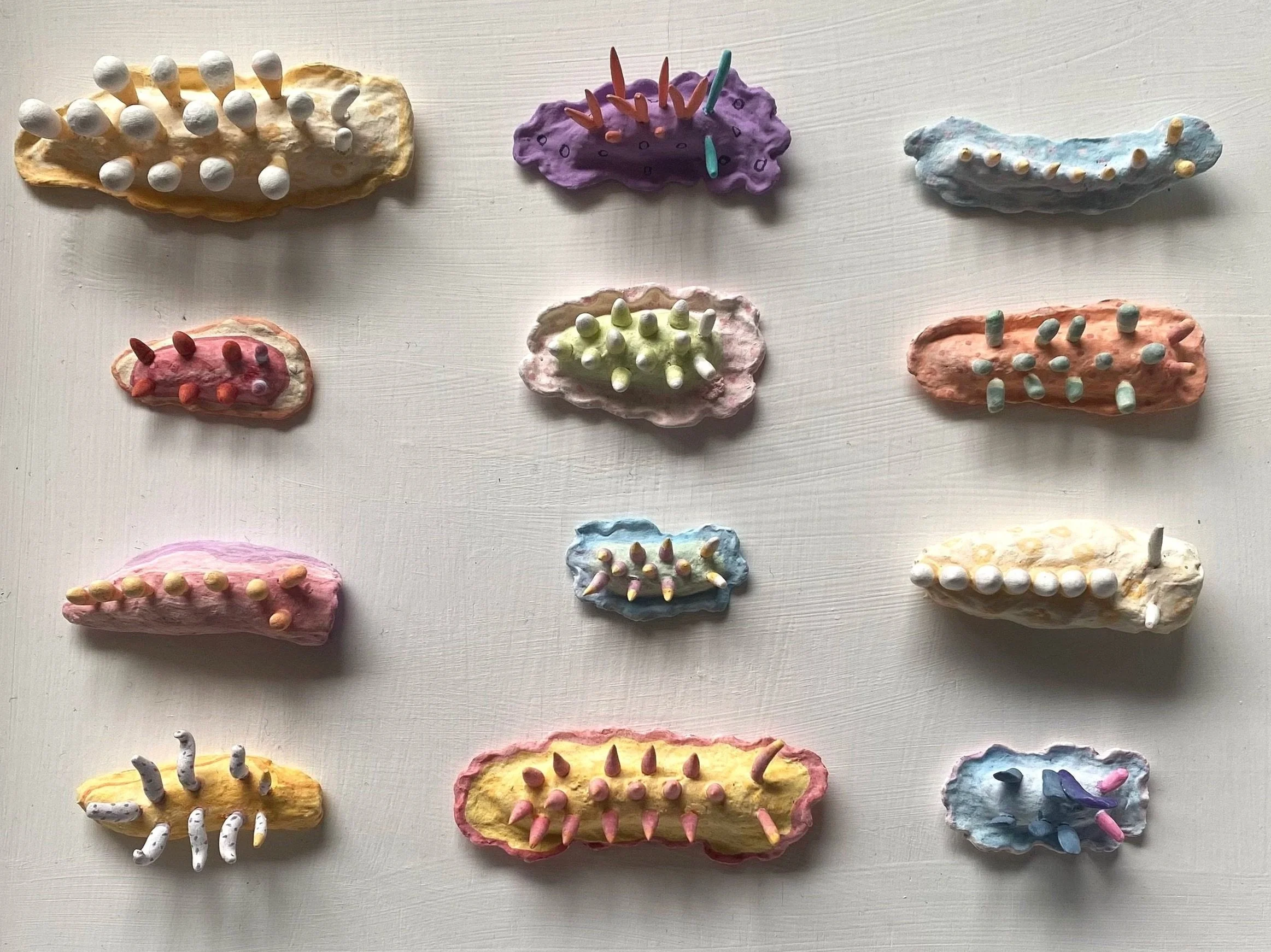 Nudi 01.jpg
