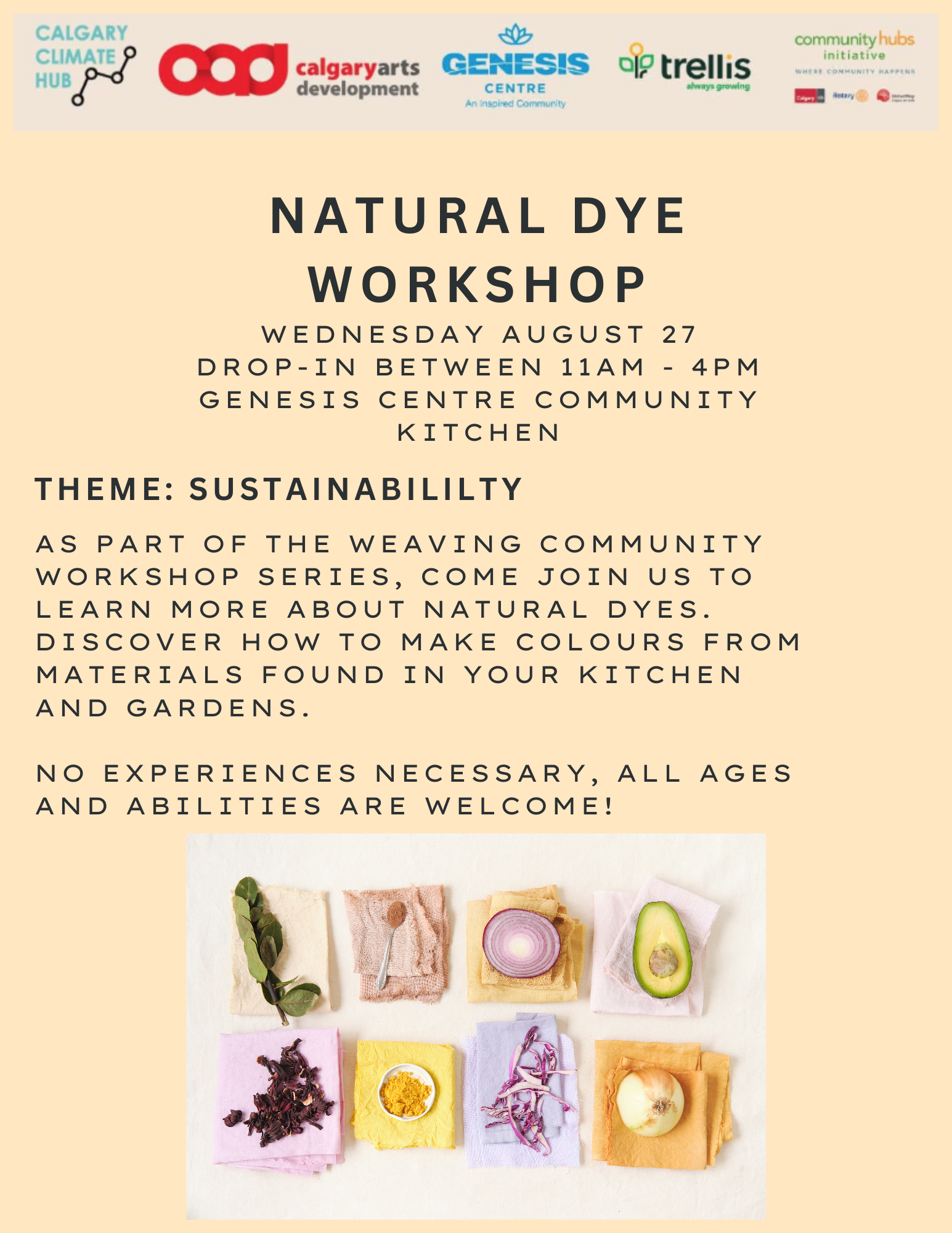Natural Dye Workshop