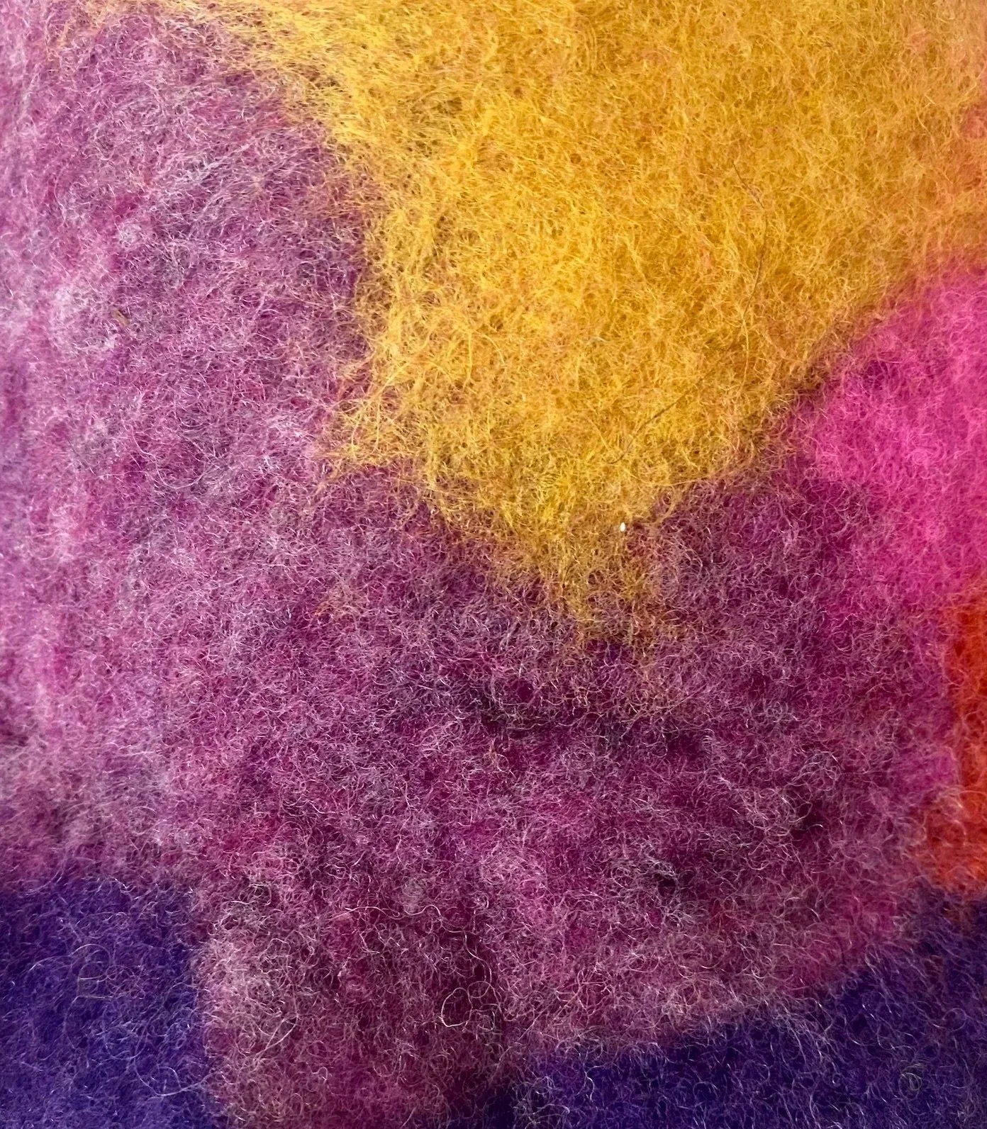 Wet Felting Workshop (55+)