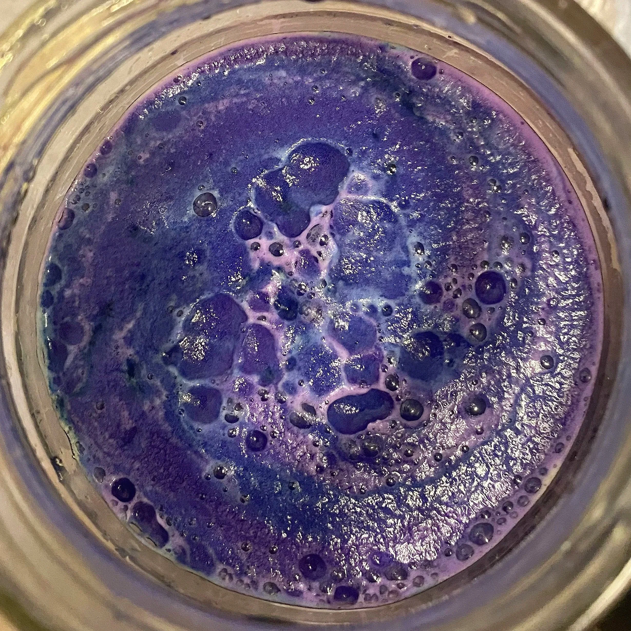 Red+Cabbage+01.jpg