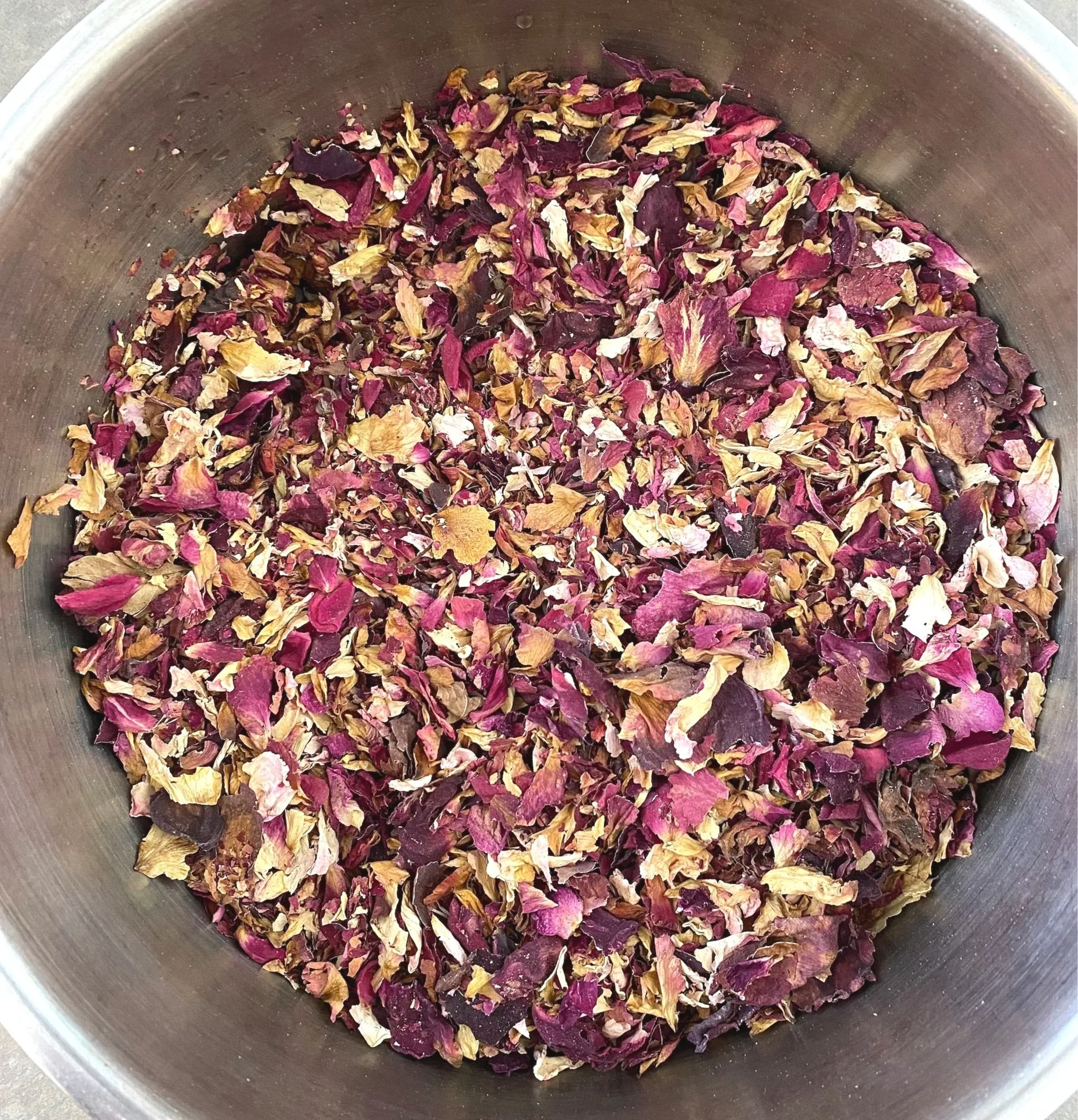 Ladysmith+Rose+01.jpg
