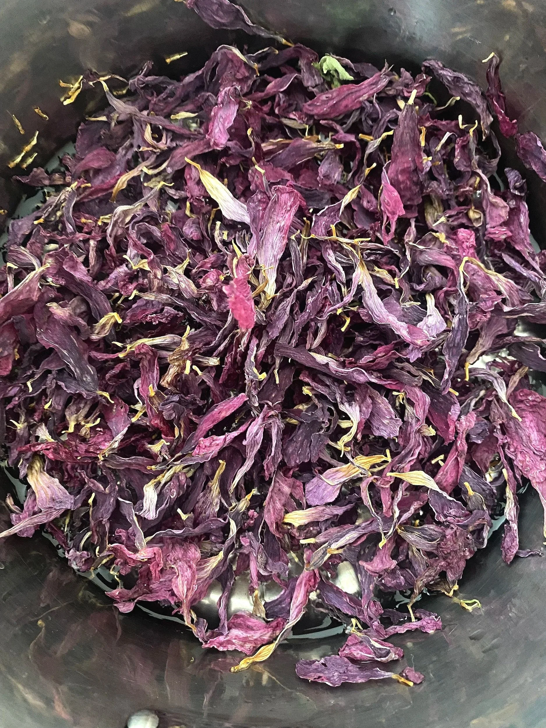 Purple Flower Pot.jpg