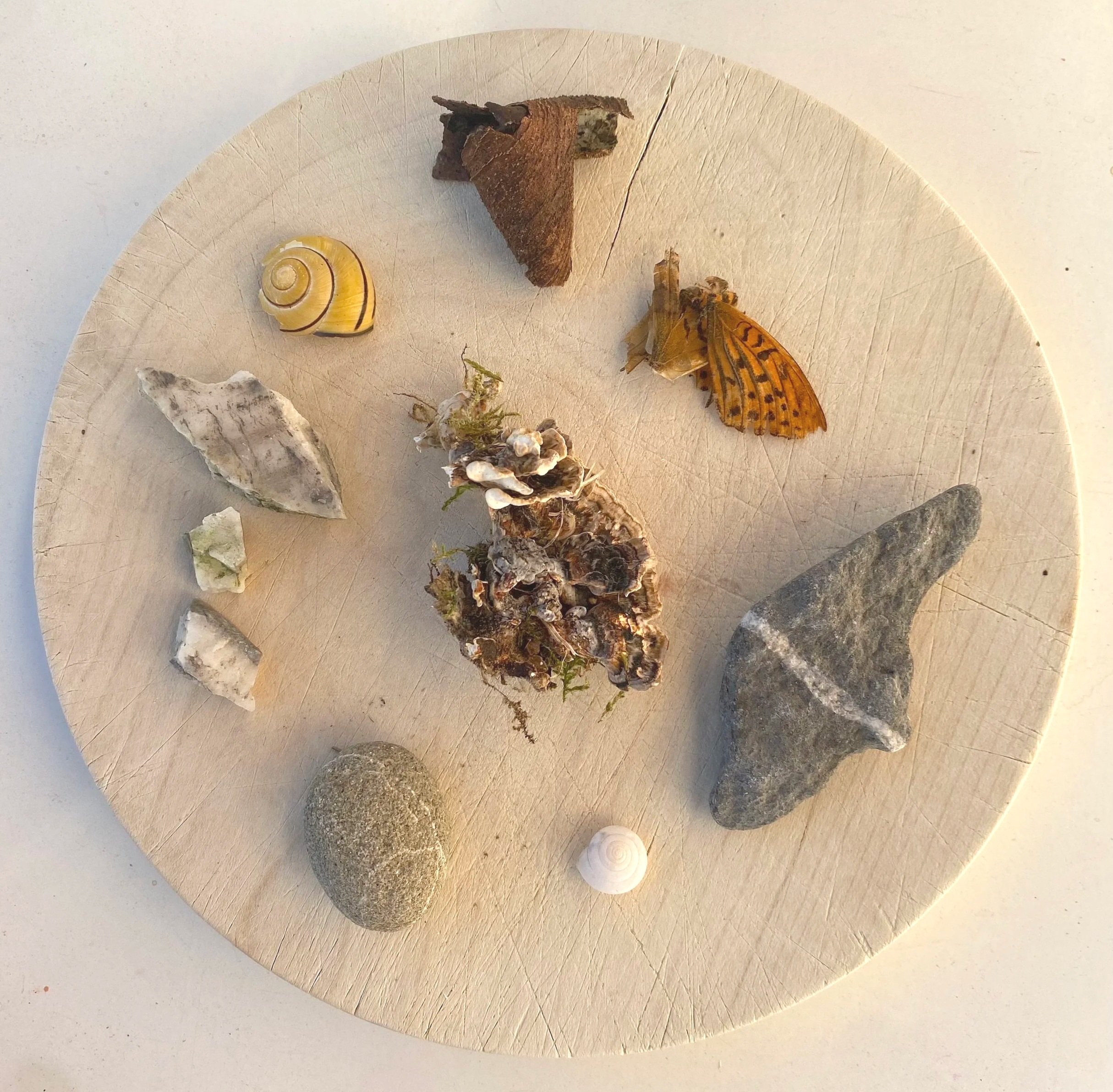 Collection+02.jpg