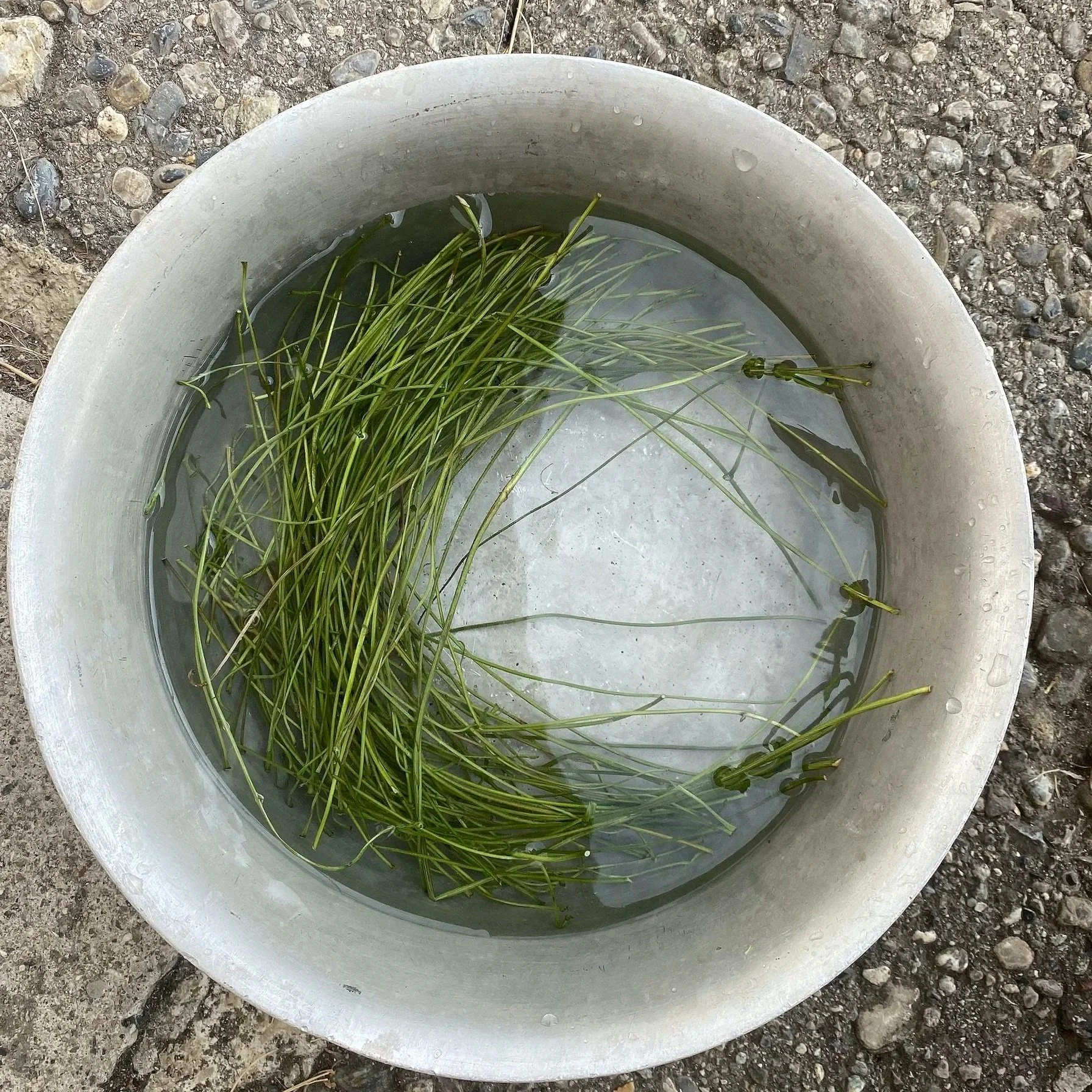 Twine+06.jpg