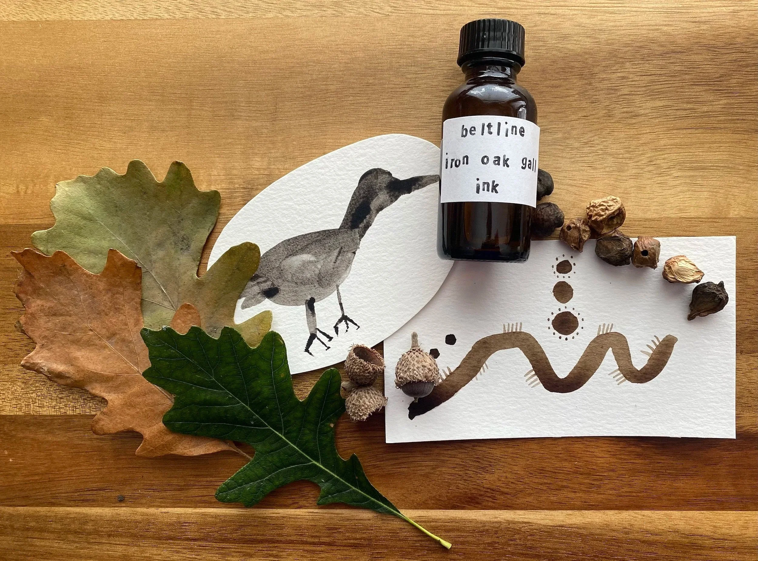 Cece+Marin+Oak+Gall+Ink.jpg
