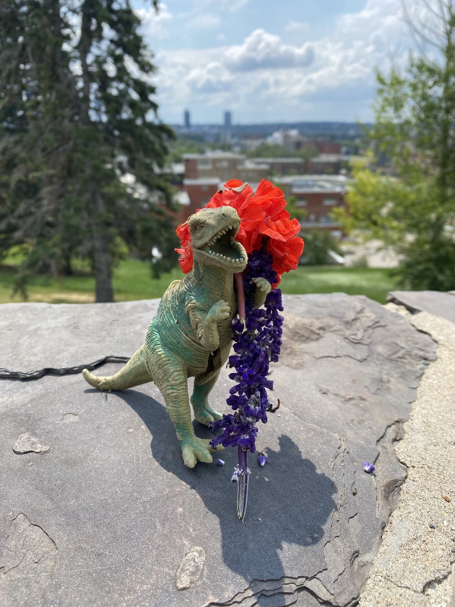 Happy Dino.jpeg