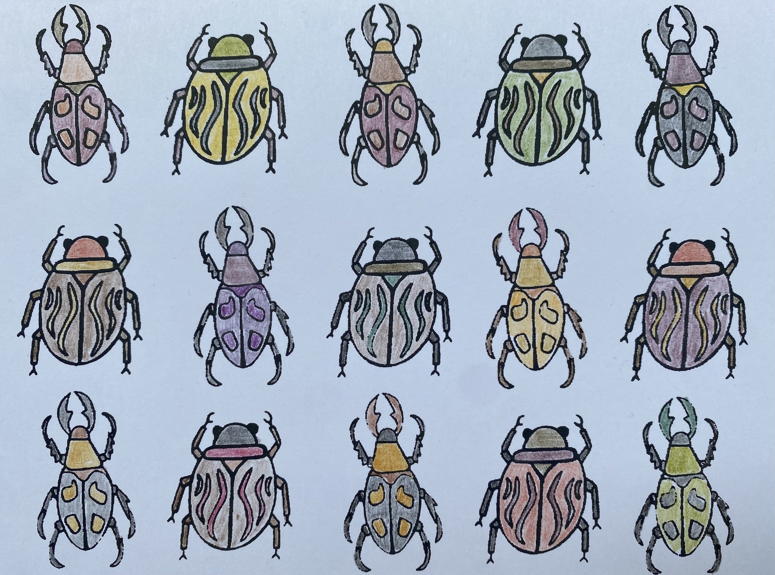 Beetle 10.jpeg