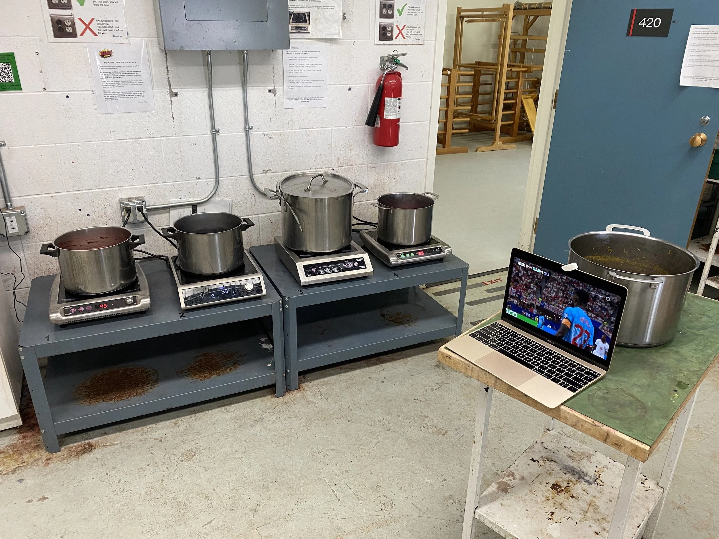 Cooking Natural Dyes.jpeg